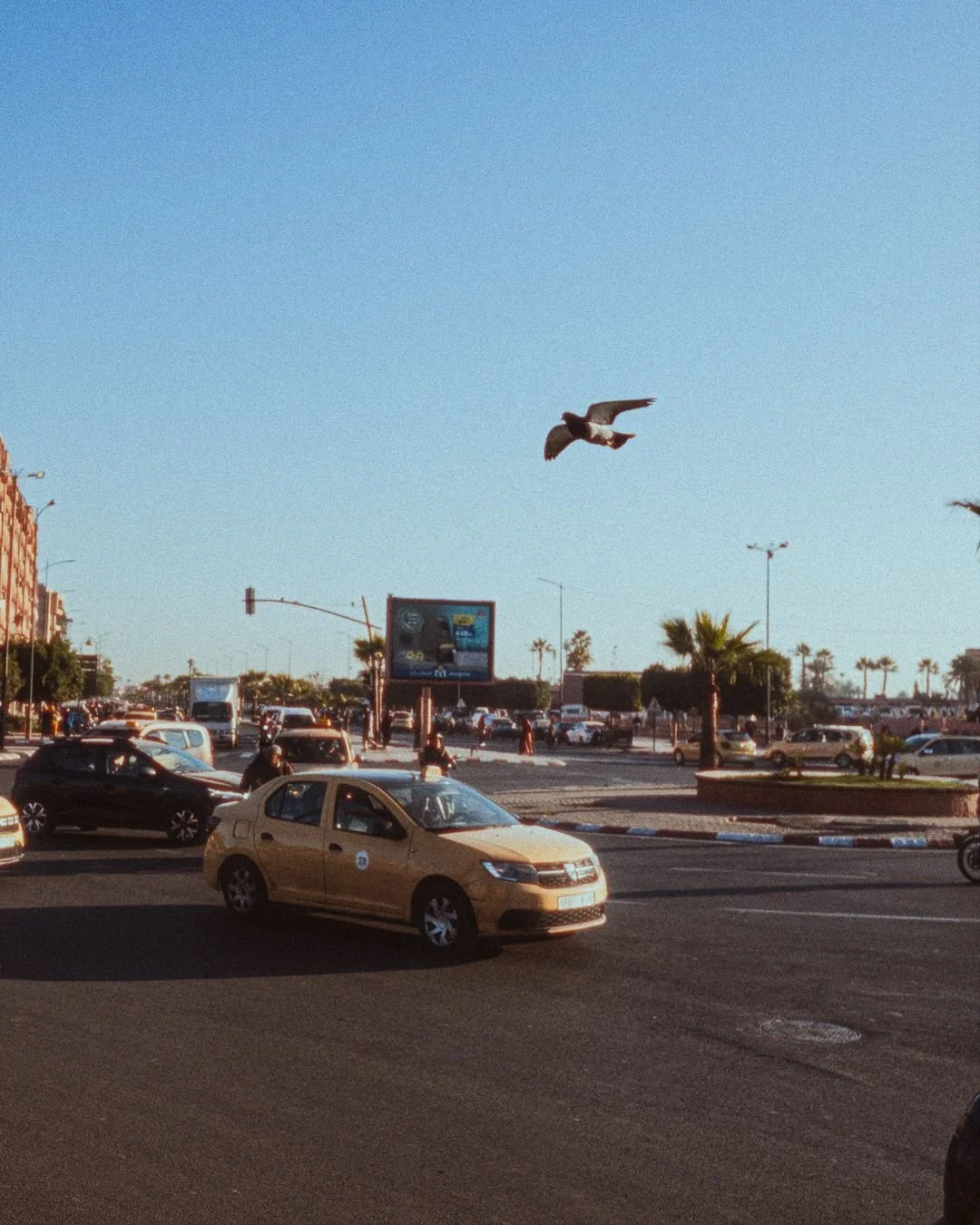 30 Things They Don't Teach You About Photography