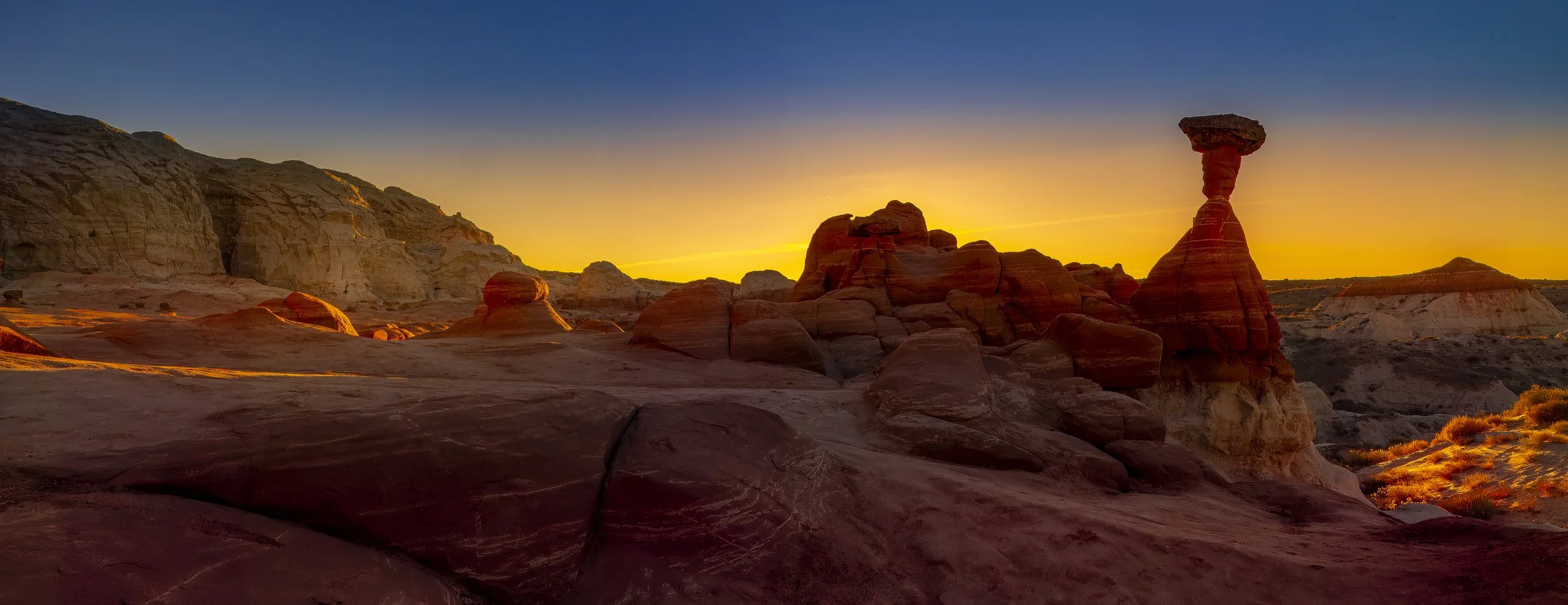 Toadstool Sunrise
