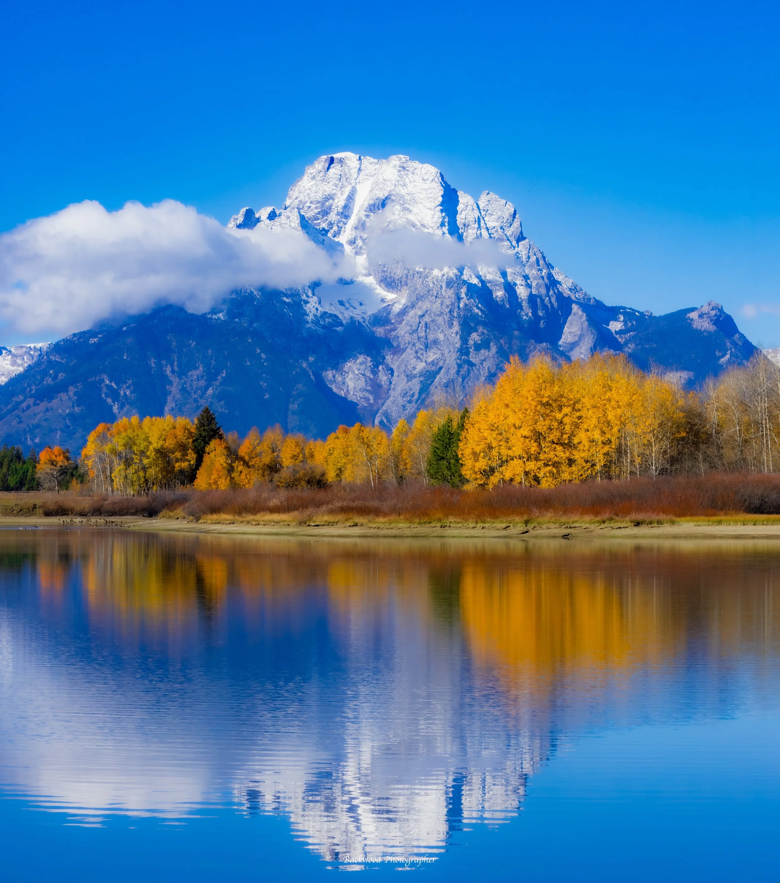 Fall At Oxbow Bend