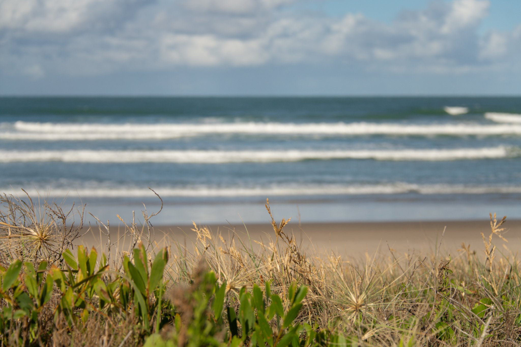 You Don’t Need to Have It All Figured Out: Finding Your Way Through Life’s Uncertain Seasons