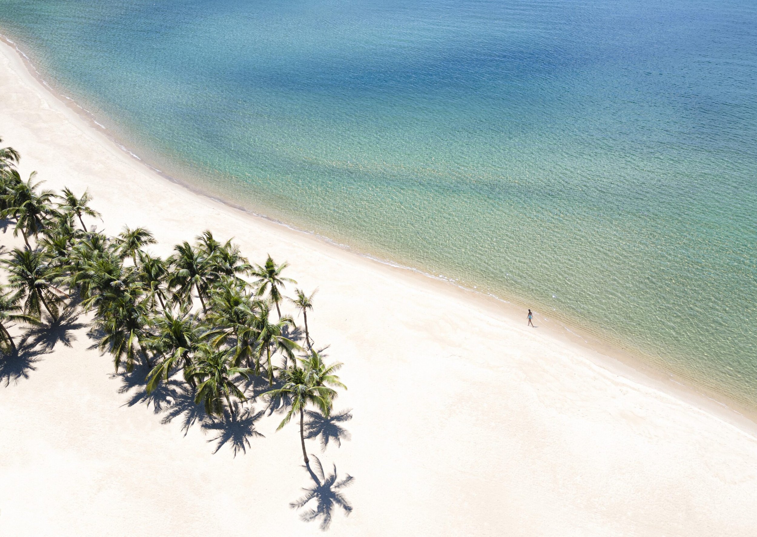 Beach-aerial-with-guest-scaled.jpg
