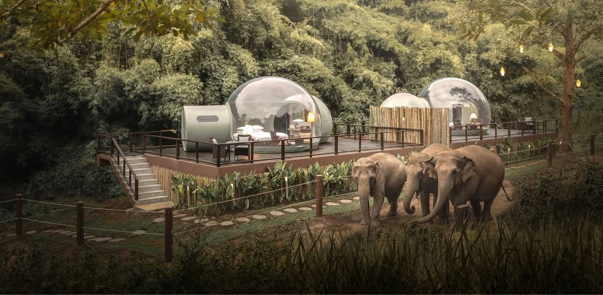 Anantara Elephant Campl.jpeg