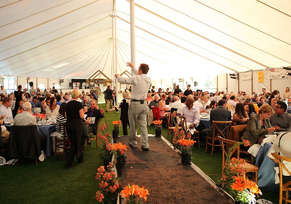 View of auction crowd and auctioneer on stage at Schulz Fundraiser