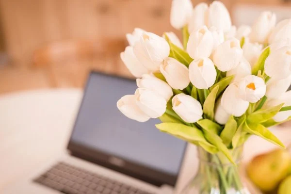 Smarter systems for a smarter spring: inside your latest newsletter