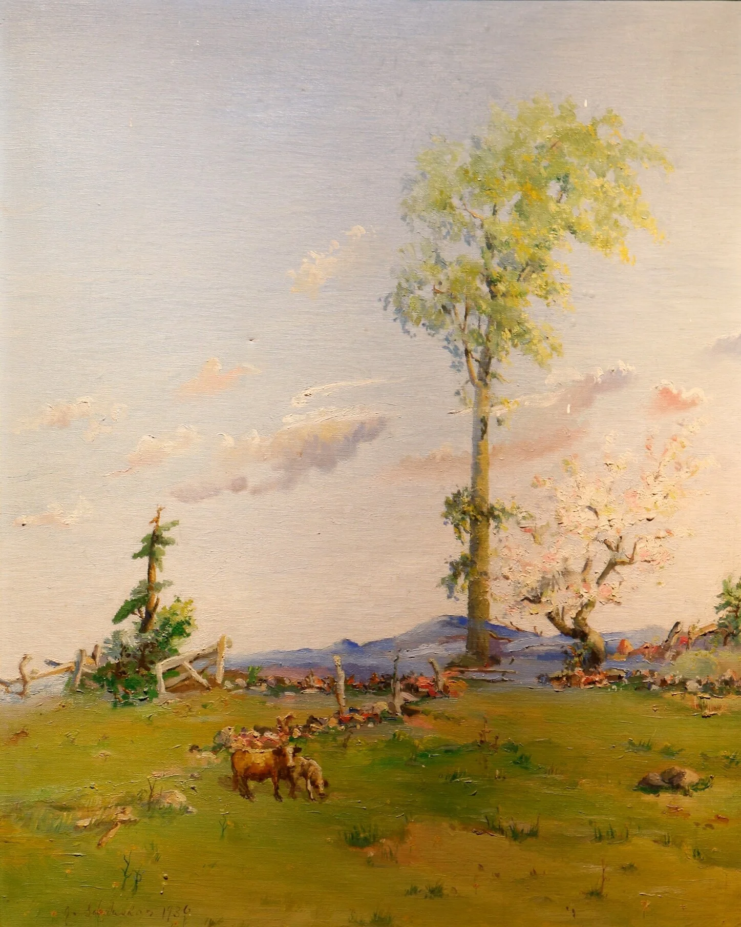 The Spring Tree