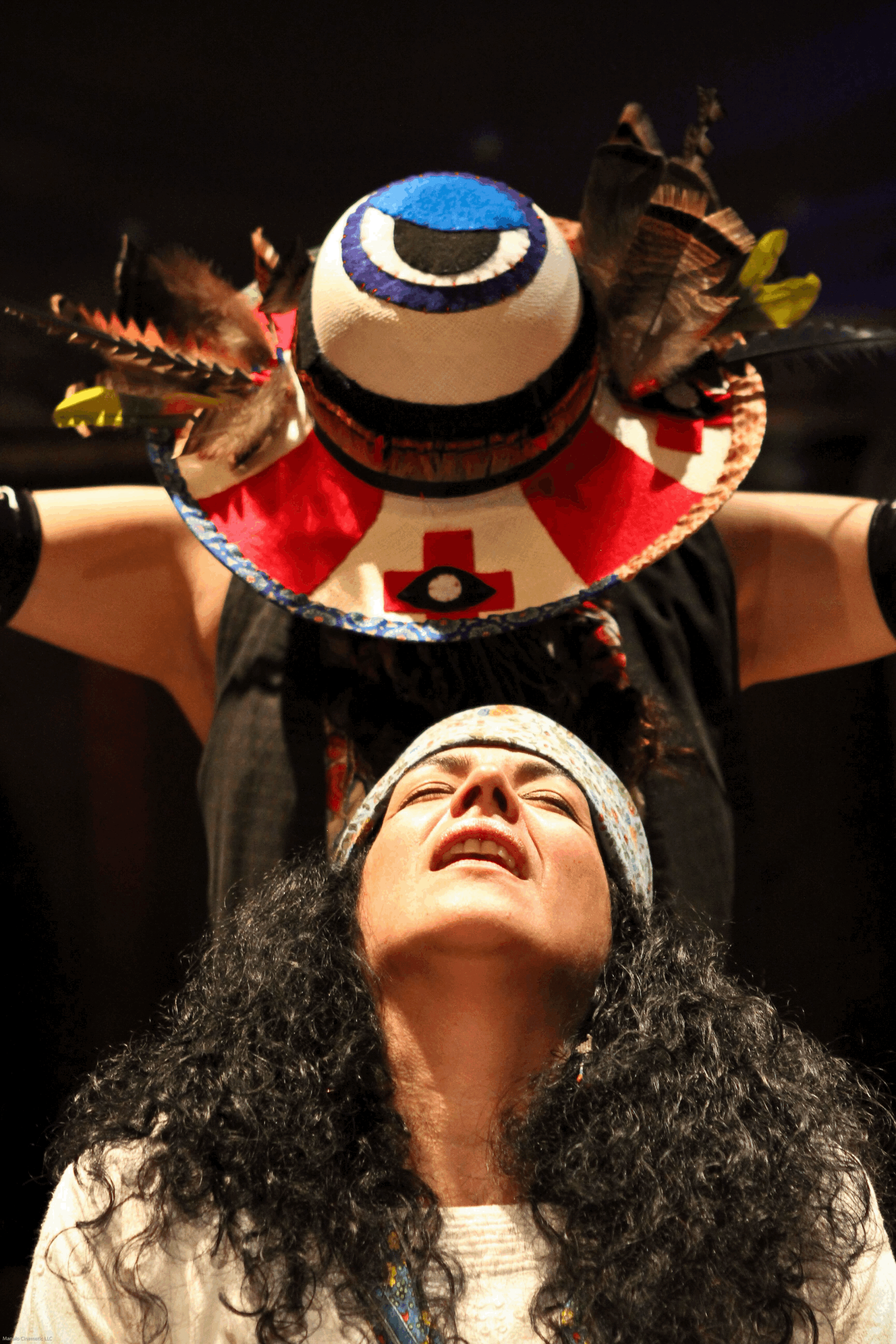 Art and Activism Speaker Series
