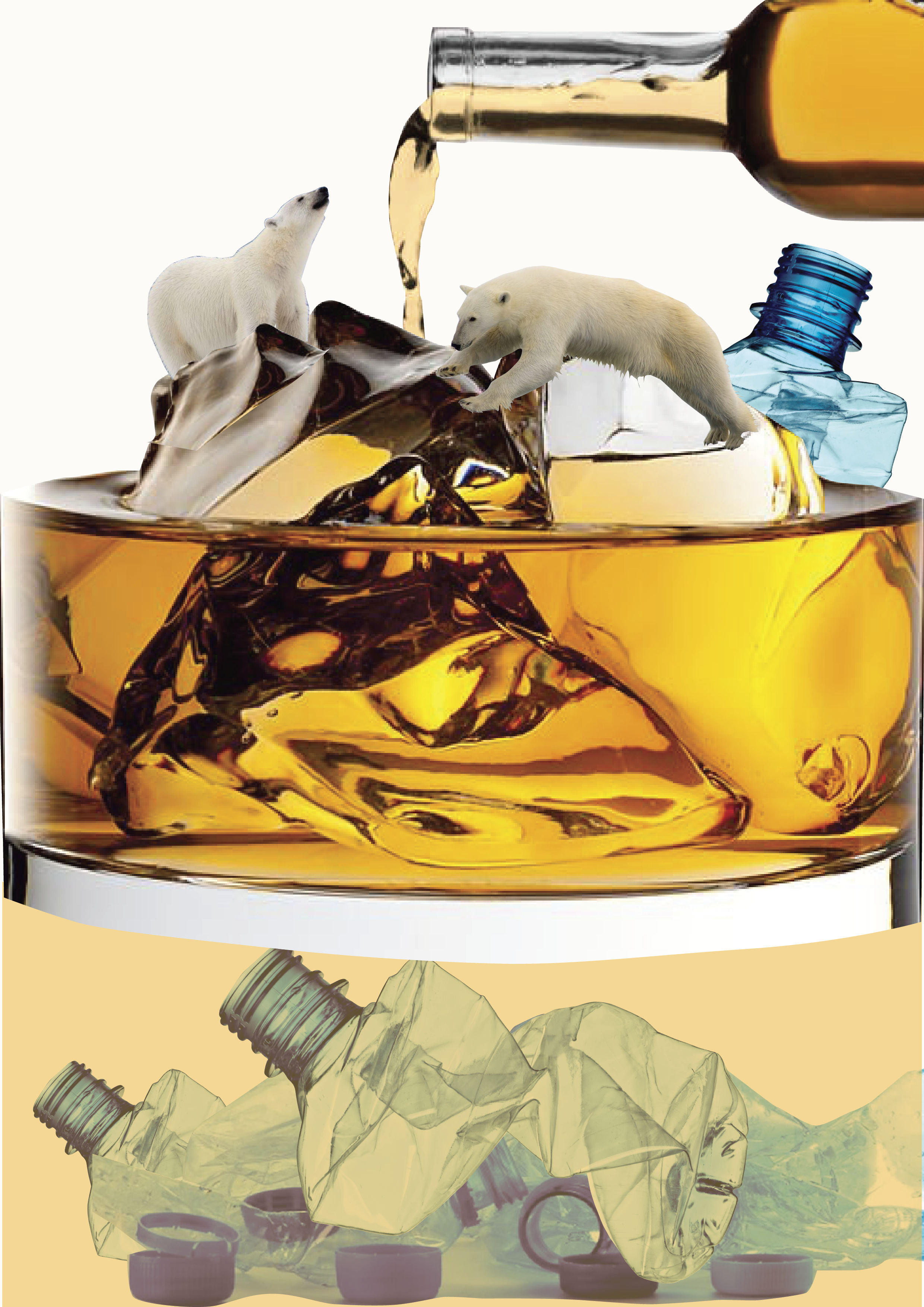 Iceberg on the rocks.