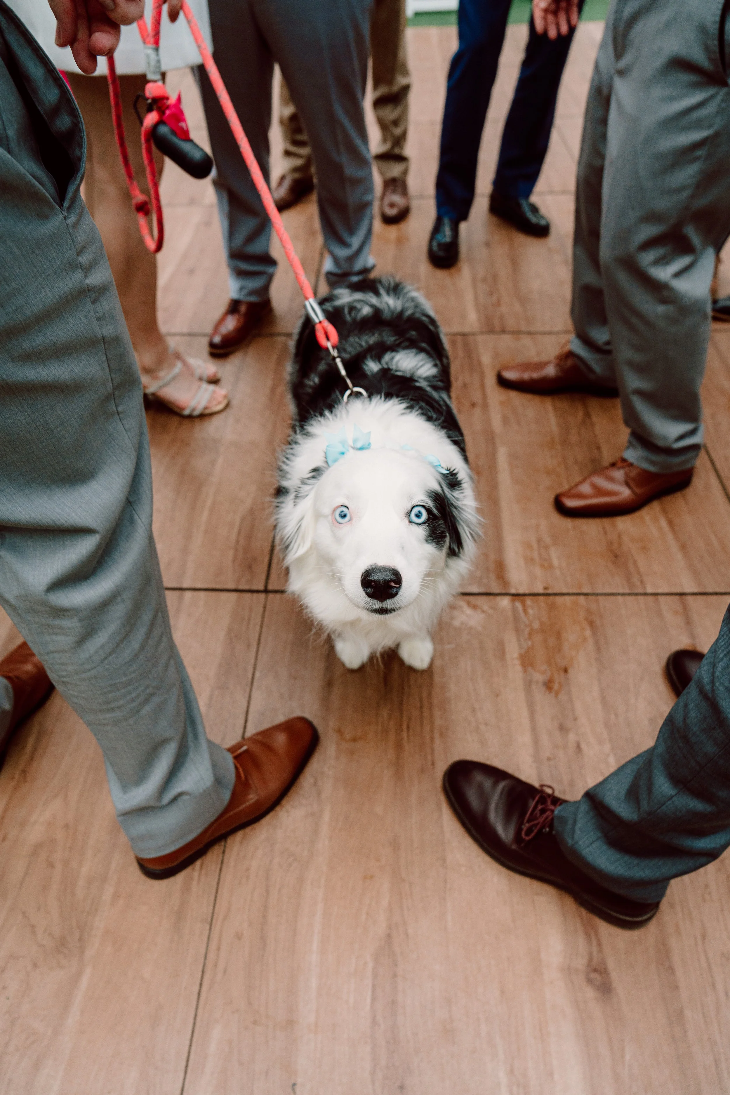 Ian&Erin-987.jpg