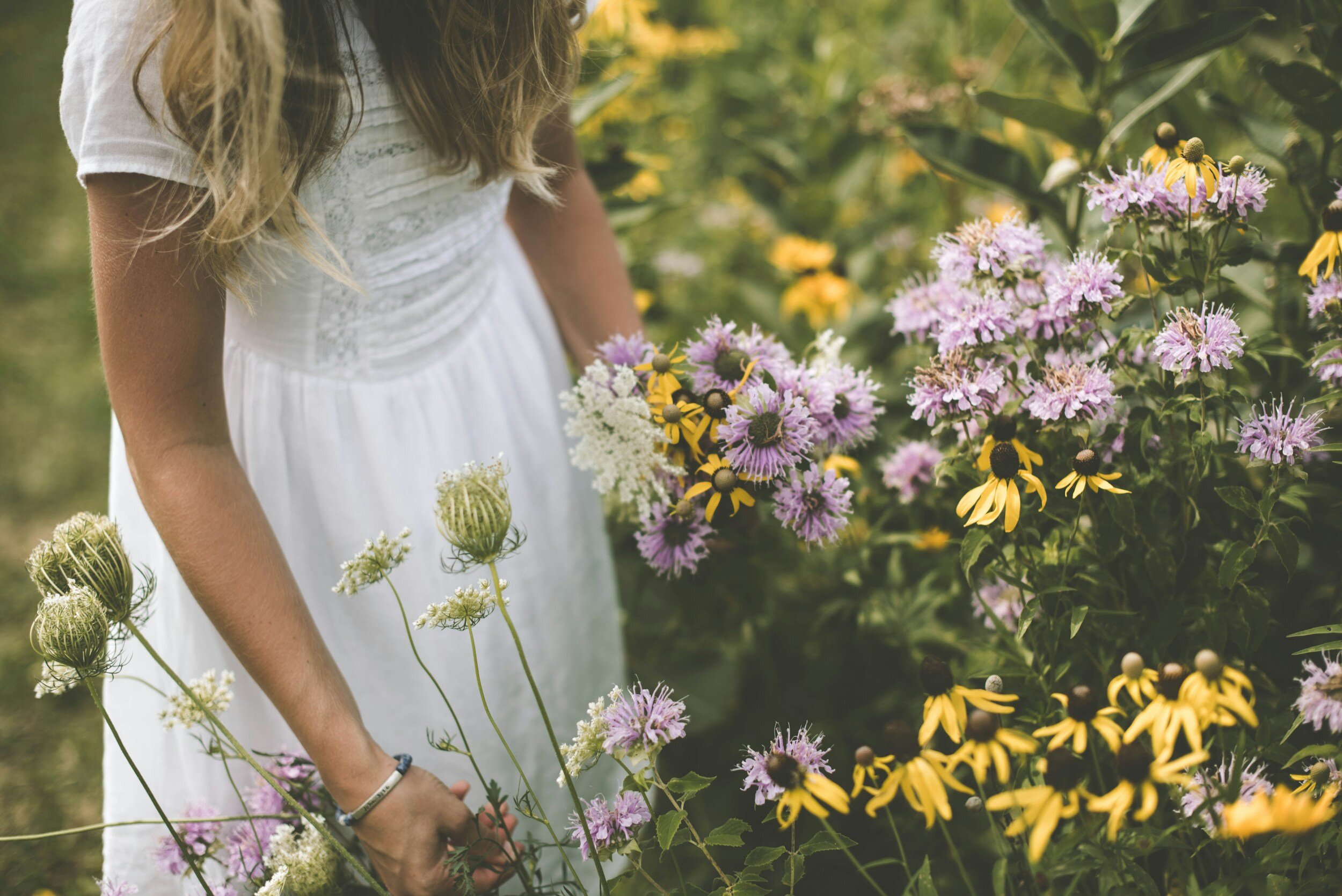 A woman in a white dress picking wildflowers in a garden filled with purple and yellow blooms.