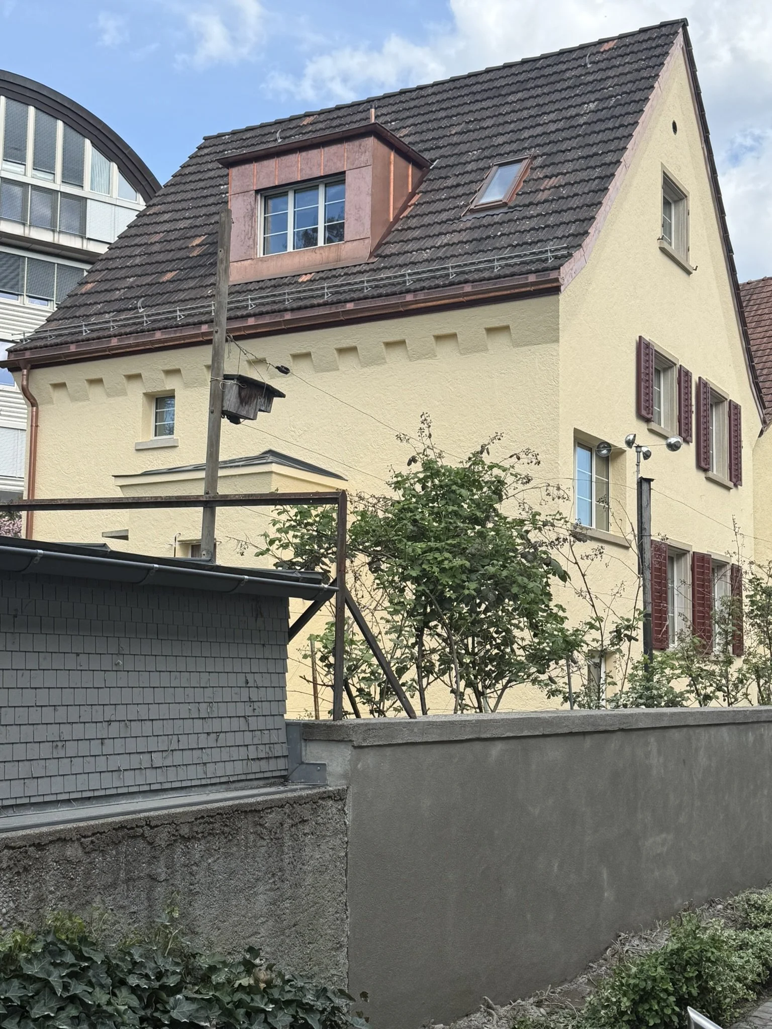 IMG_2572.JPEG