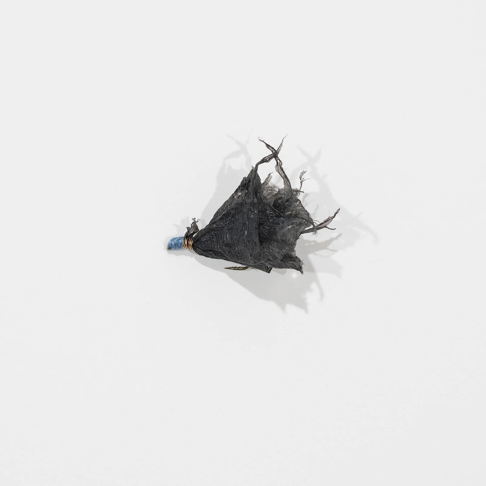 fly_004.jpg
