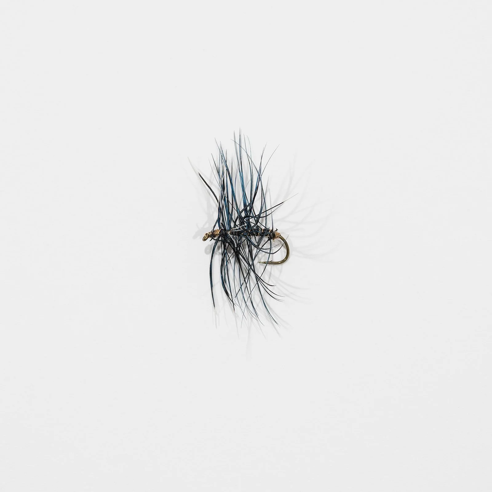 fly-001.jpg