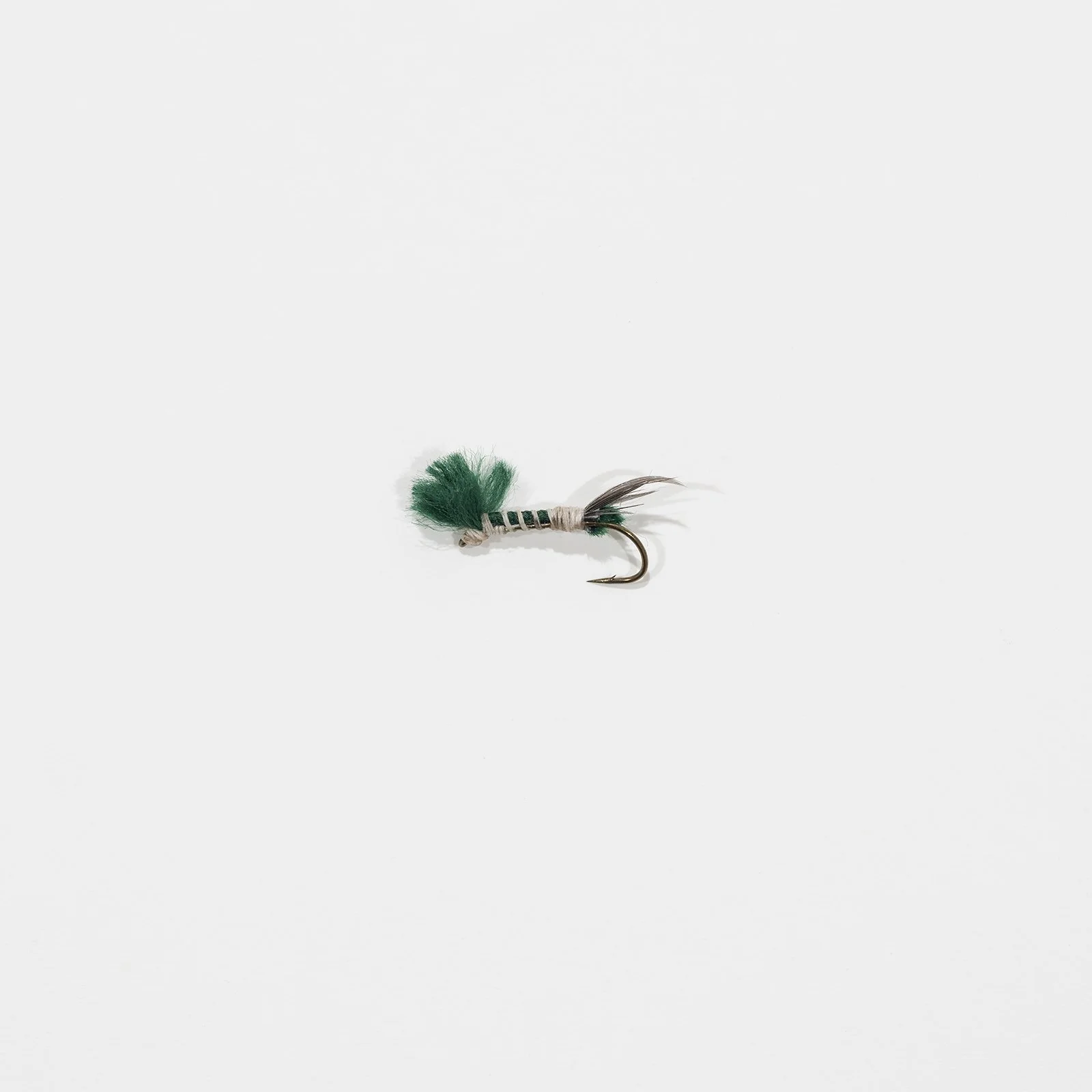 fly_002.jpg