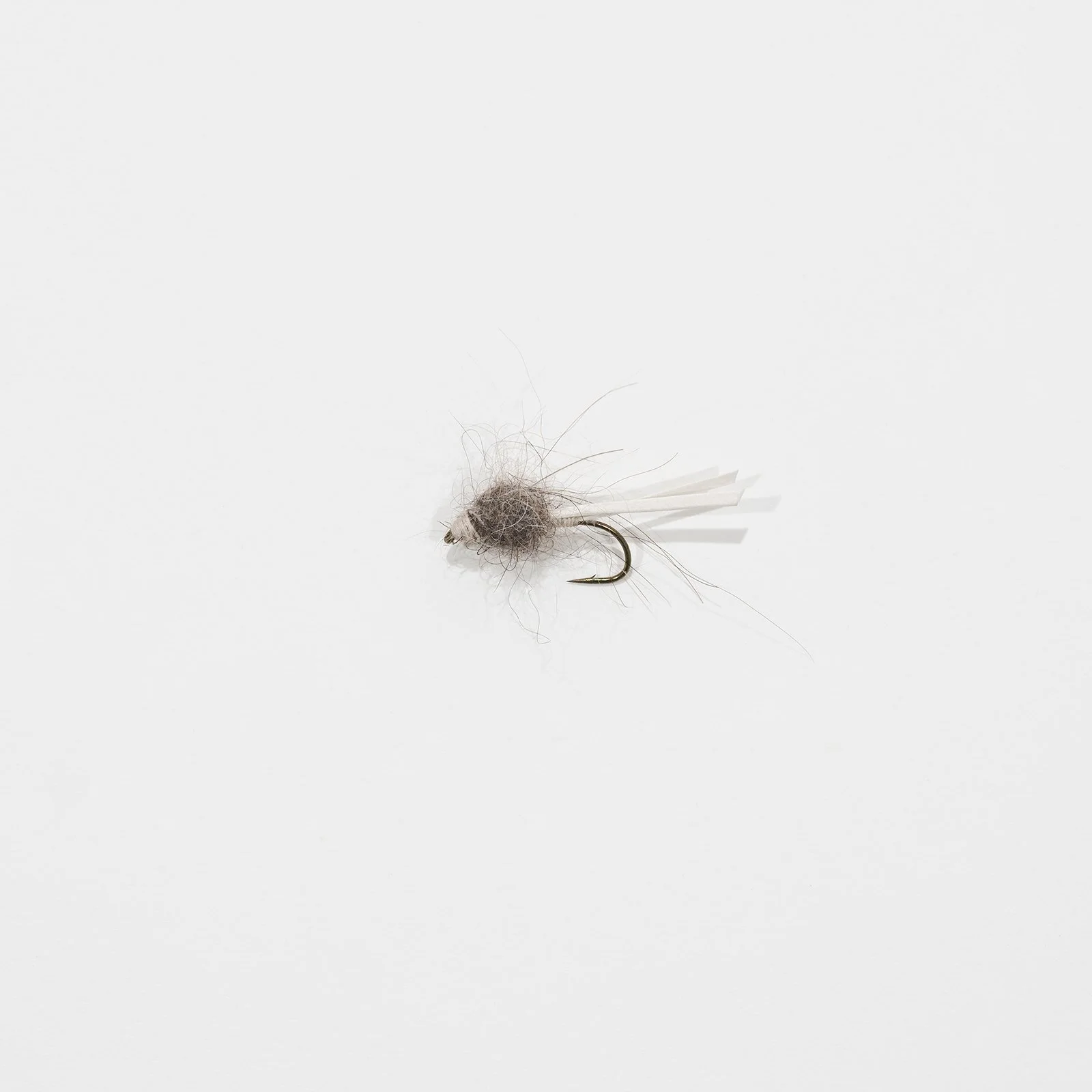 fly_005.jpg