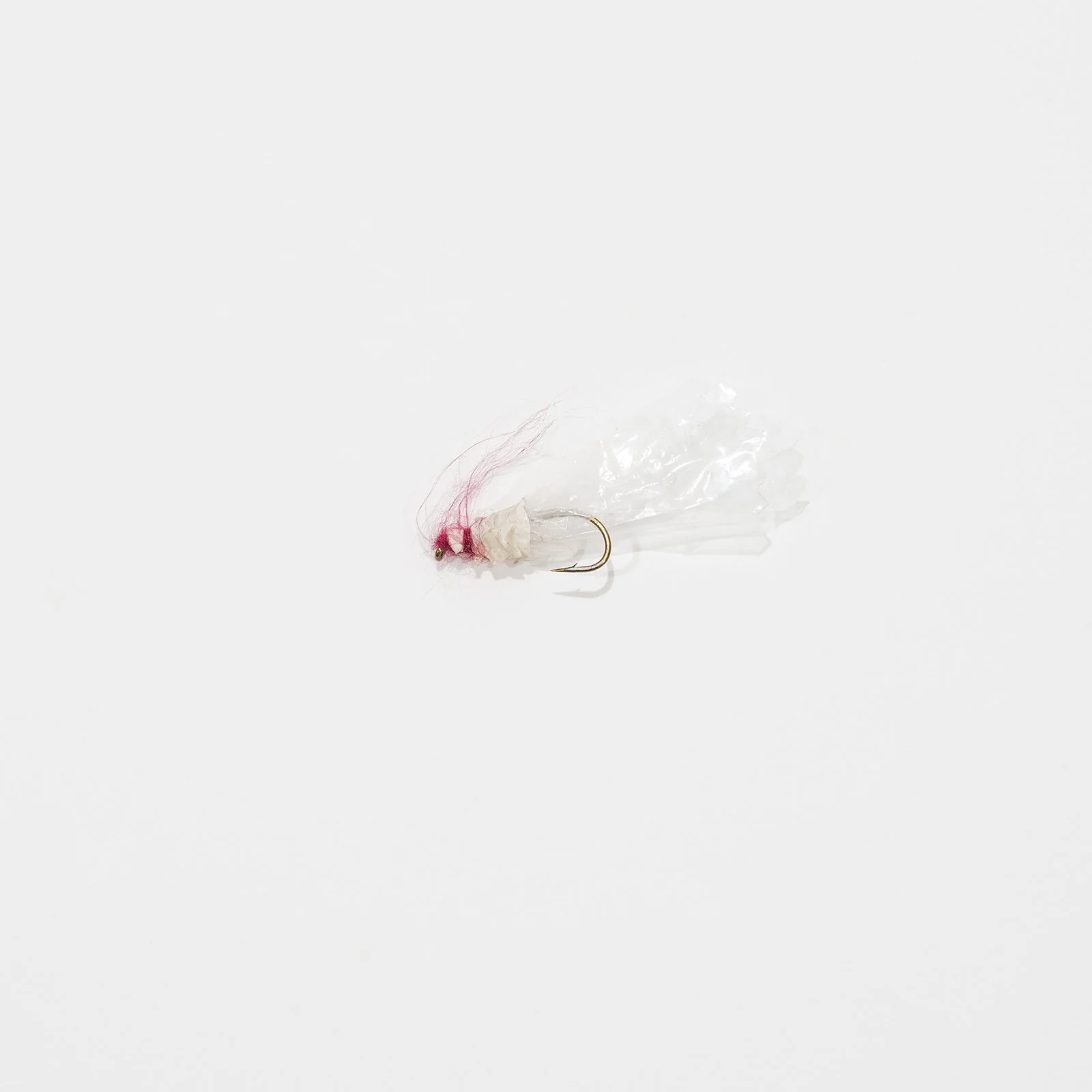 fly_008.jpg
