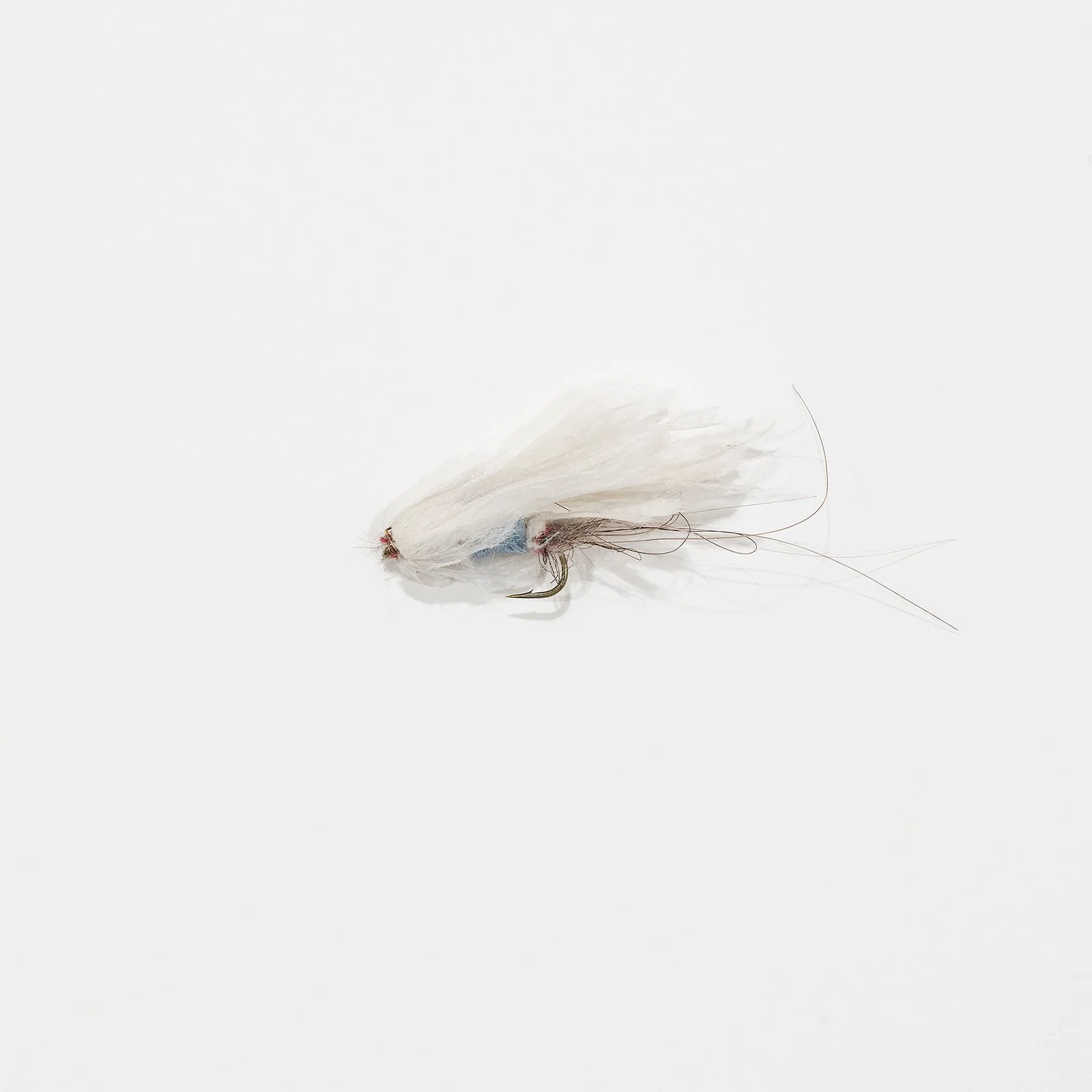 fly_010.jpg
