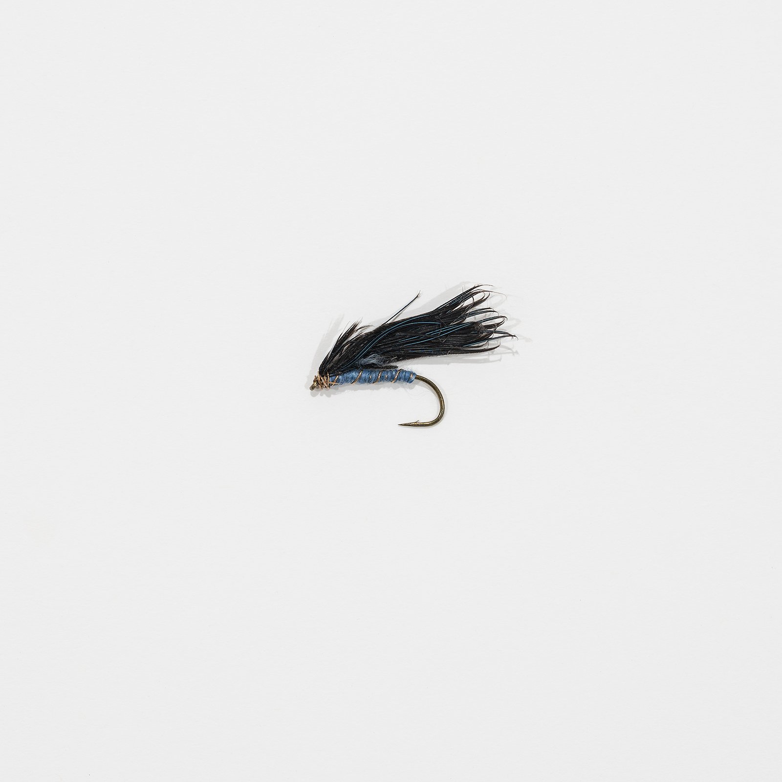 fly_009.jpg