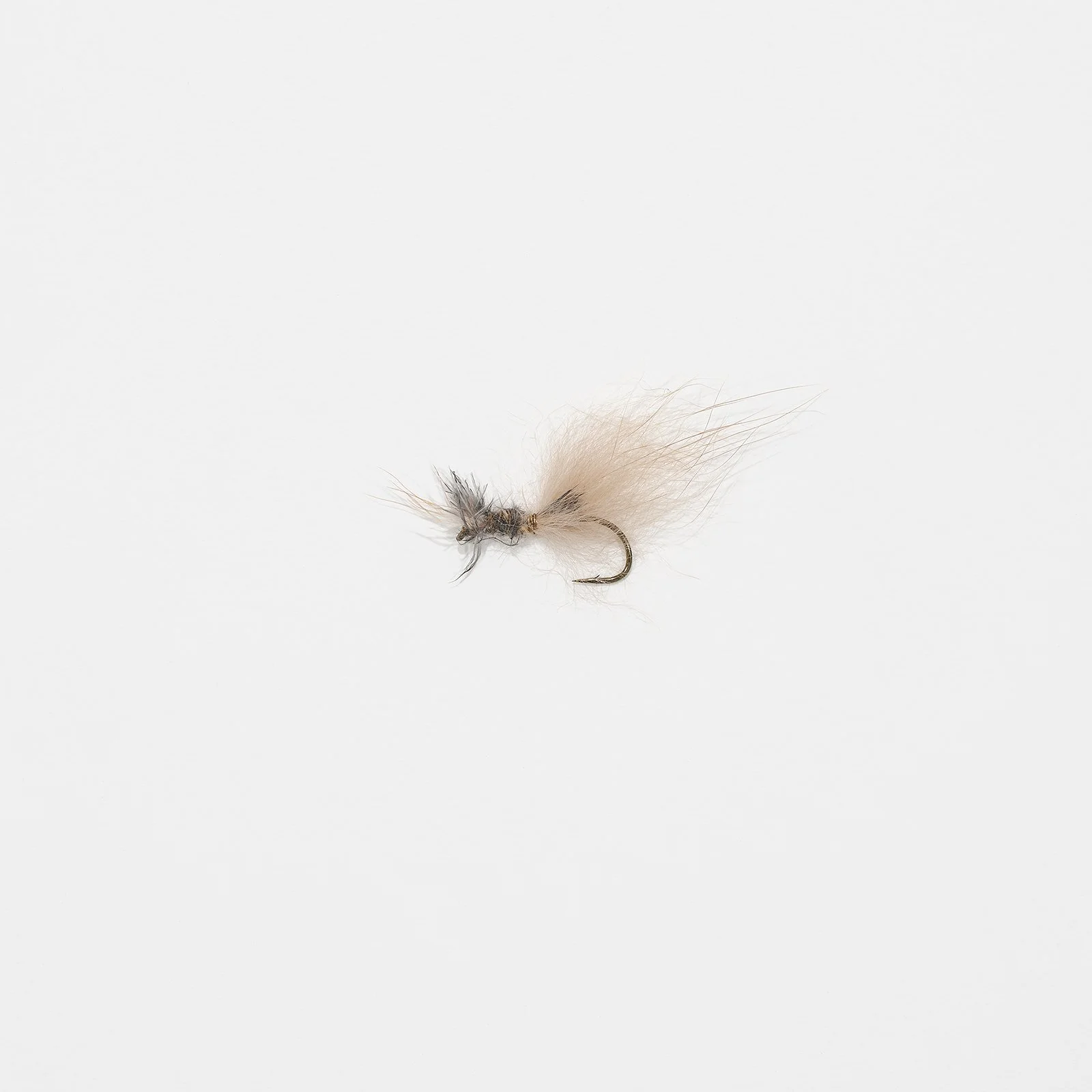 fly_003.jpg