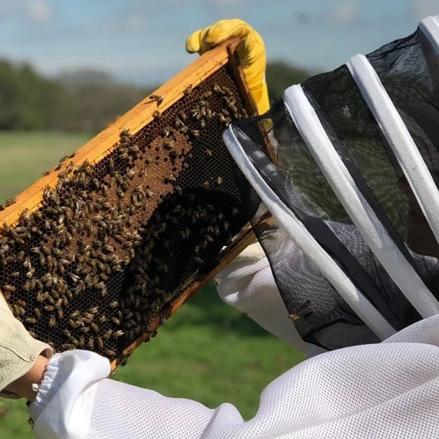 Hiver Bee Keeping And Beer Tasting