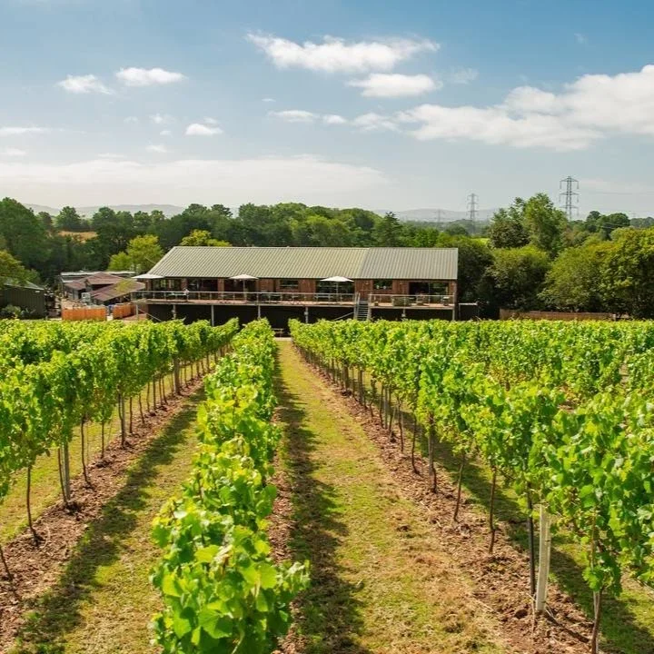 Bolney Wine Estate