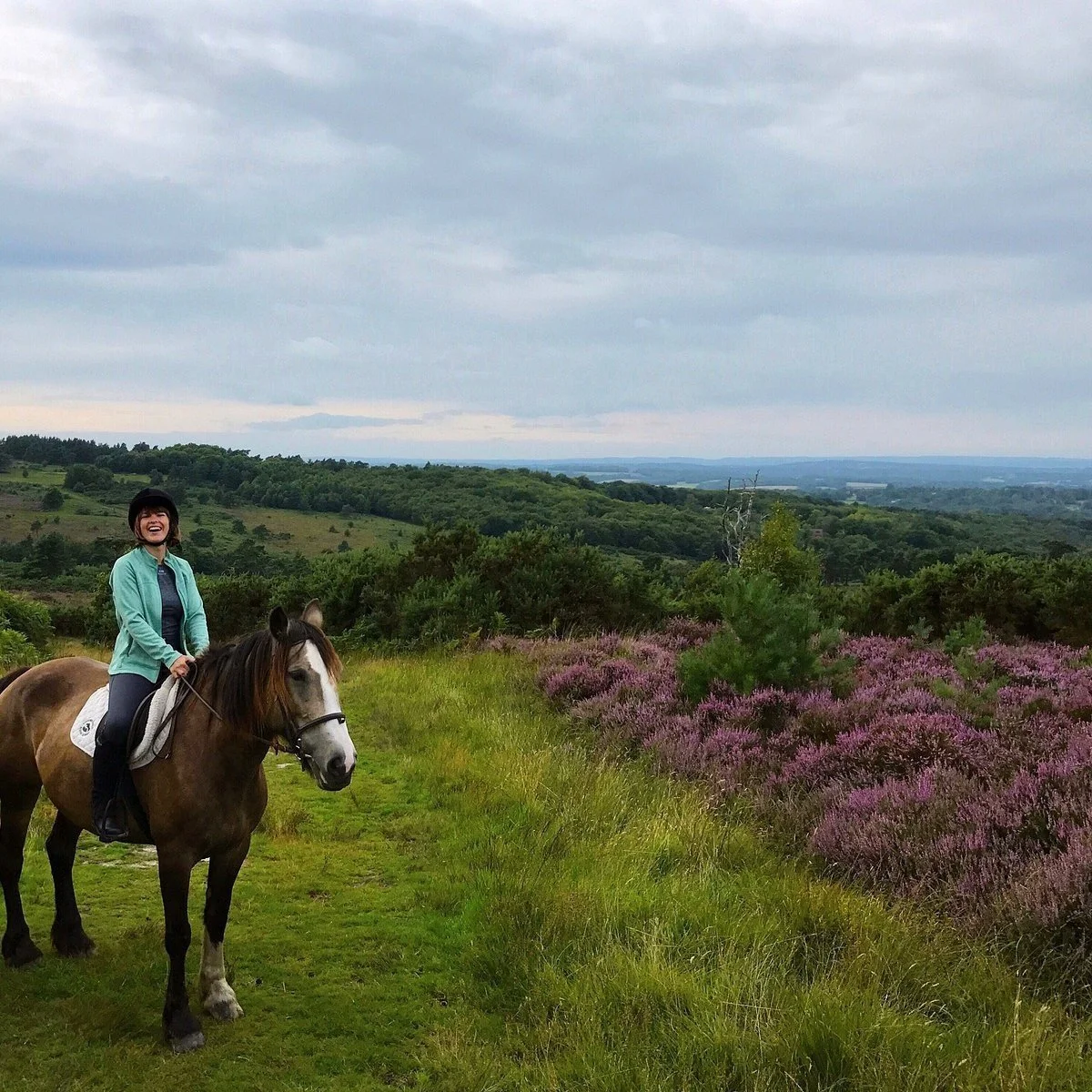 Ashdown Forest Horse Riding Centre