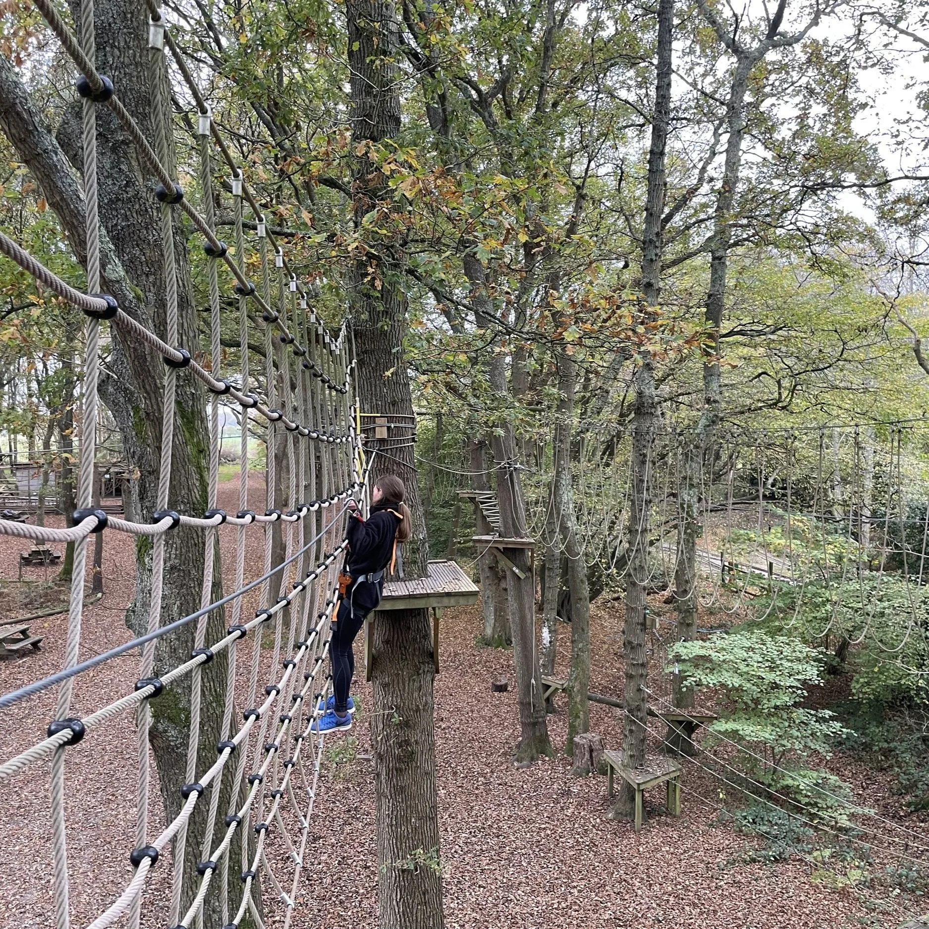 Branching Out Adventures