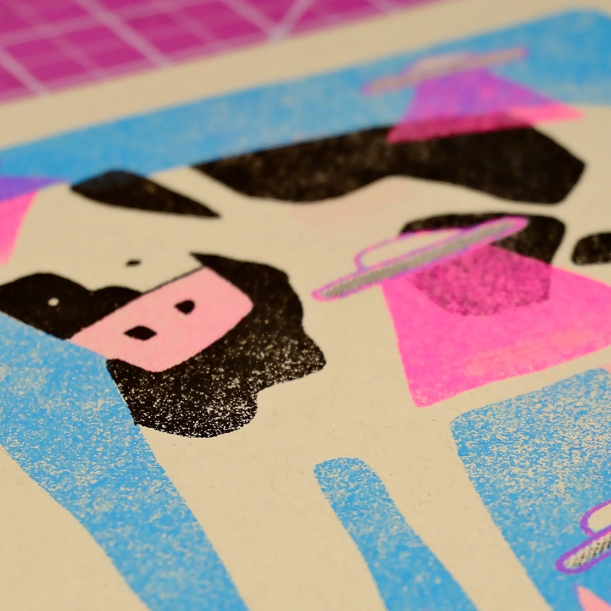 Cow 2.jpg