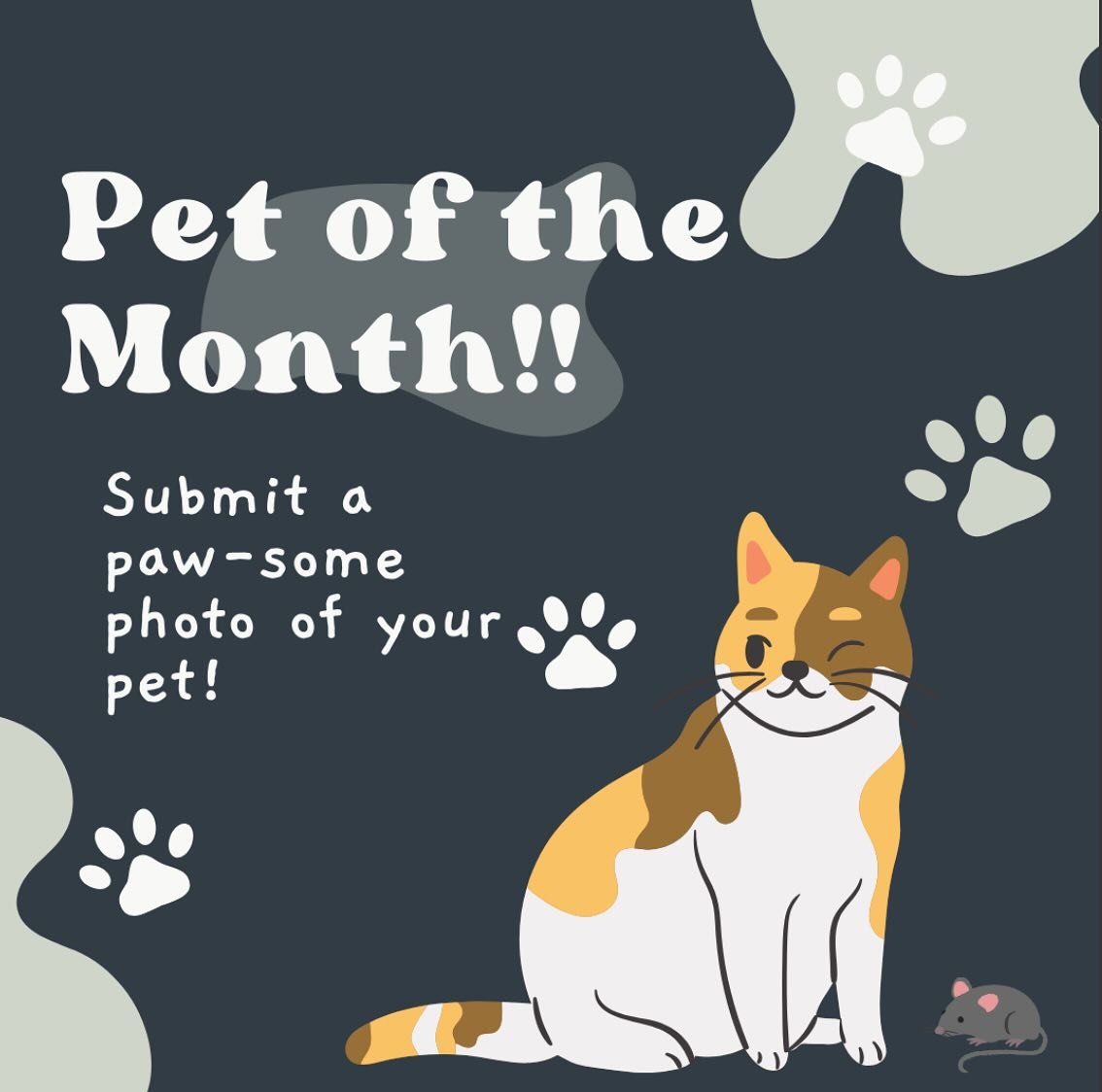 Hollaring at all Sugar Run Pet Parents!
Think your furry friend has what it takes to be Pet of the Month? 

Submit your favorite pet photo to us by end of day Monday 5/26 for a chance to win bragging rights and a special feature in our **Resident Pet