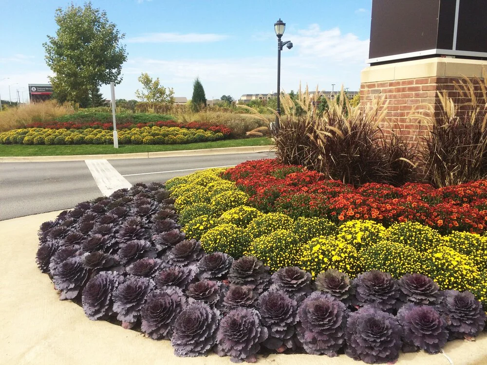 Seasonal Color 2.jpeg