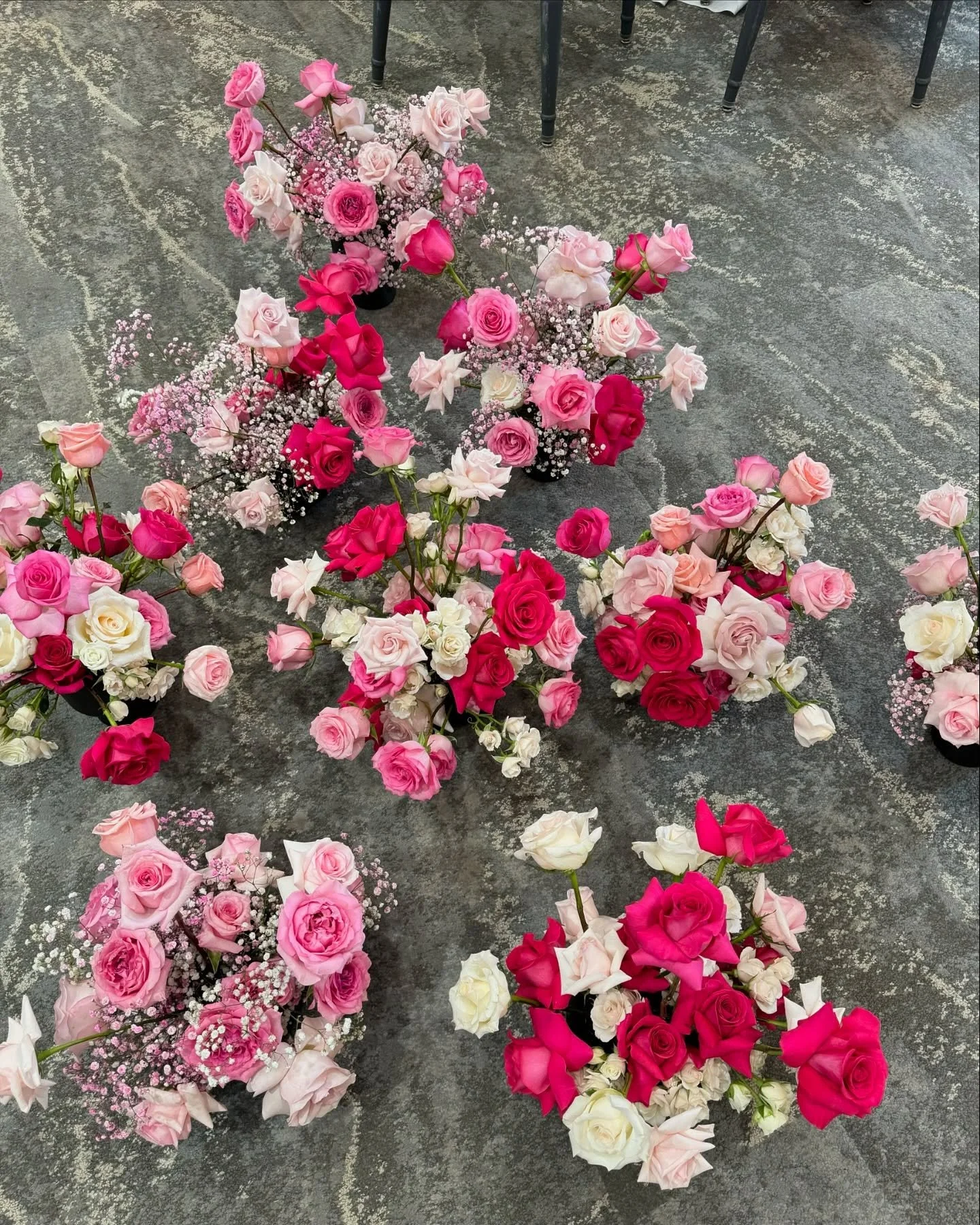 It&rsquo;s love month💓 // swipe to see the prettiest pink rose varieties
