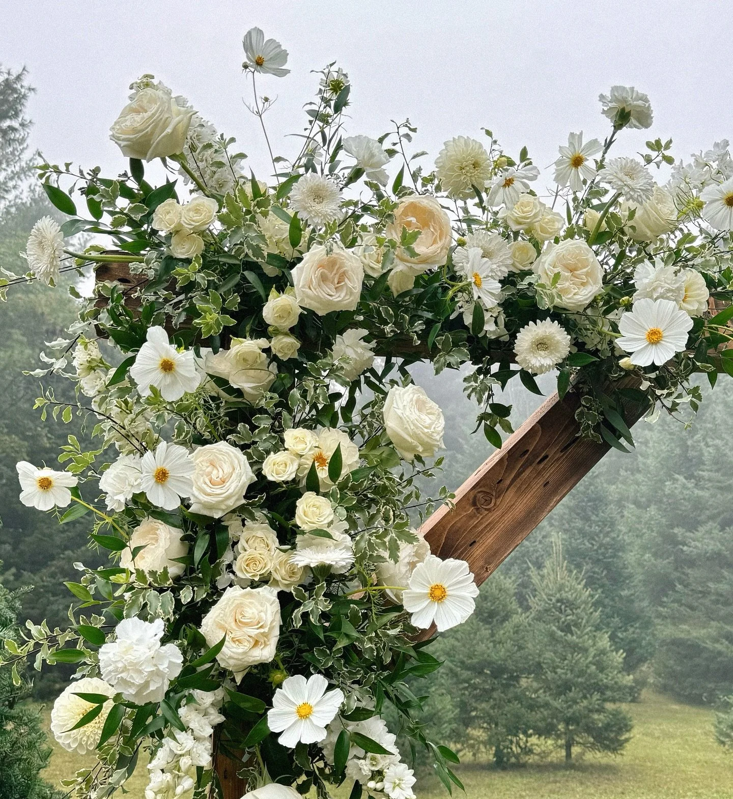 Butter yellows and cosmos on a foggy wedding morning💛✨

@kaywareweddings @dreamweaver.events