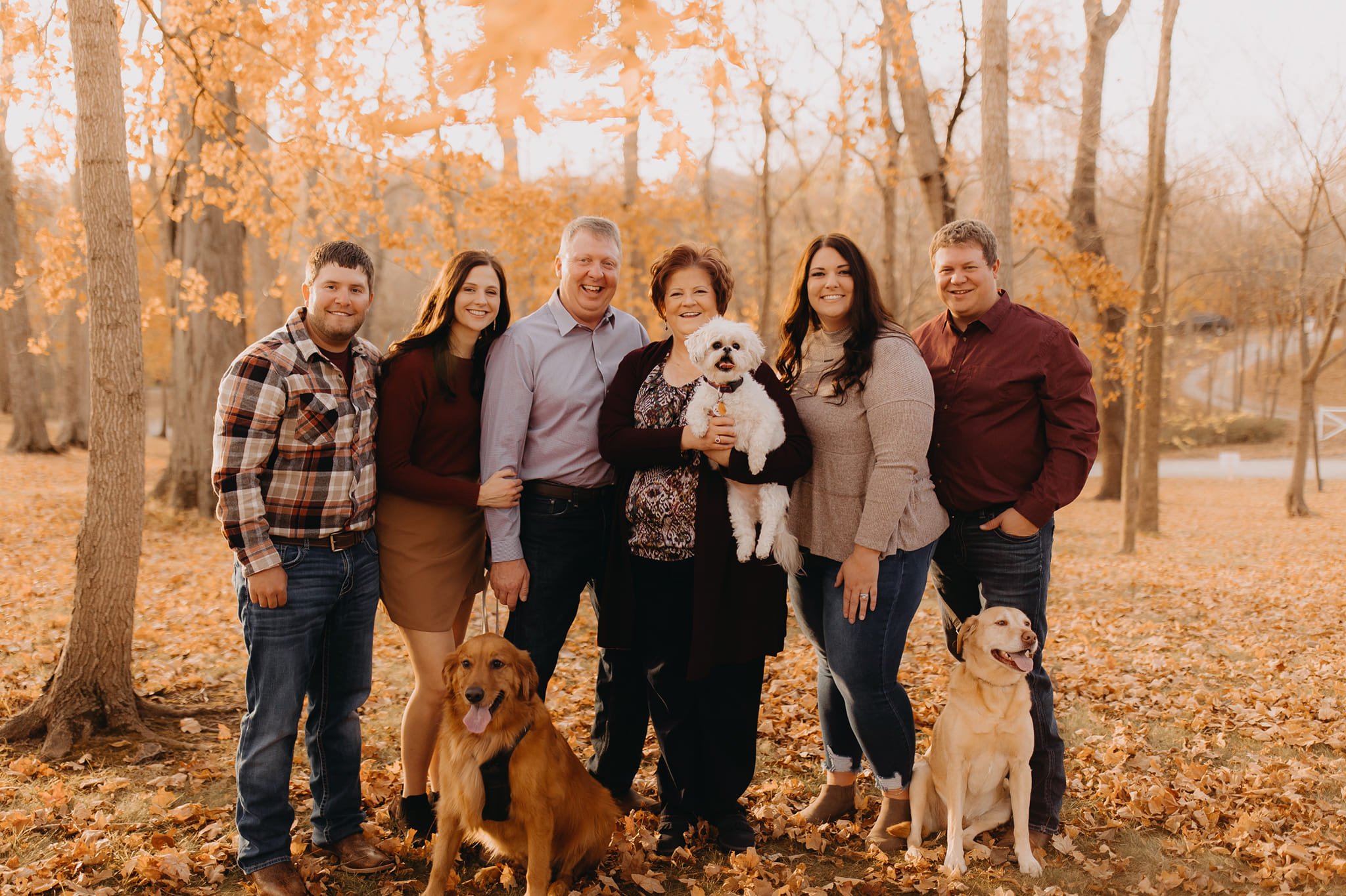 all boeckman dogs.jpeg
