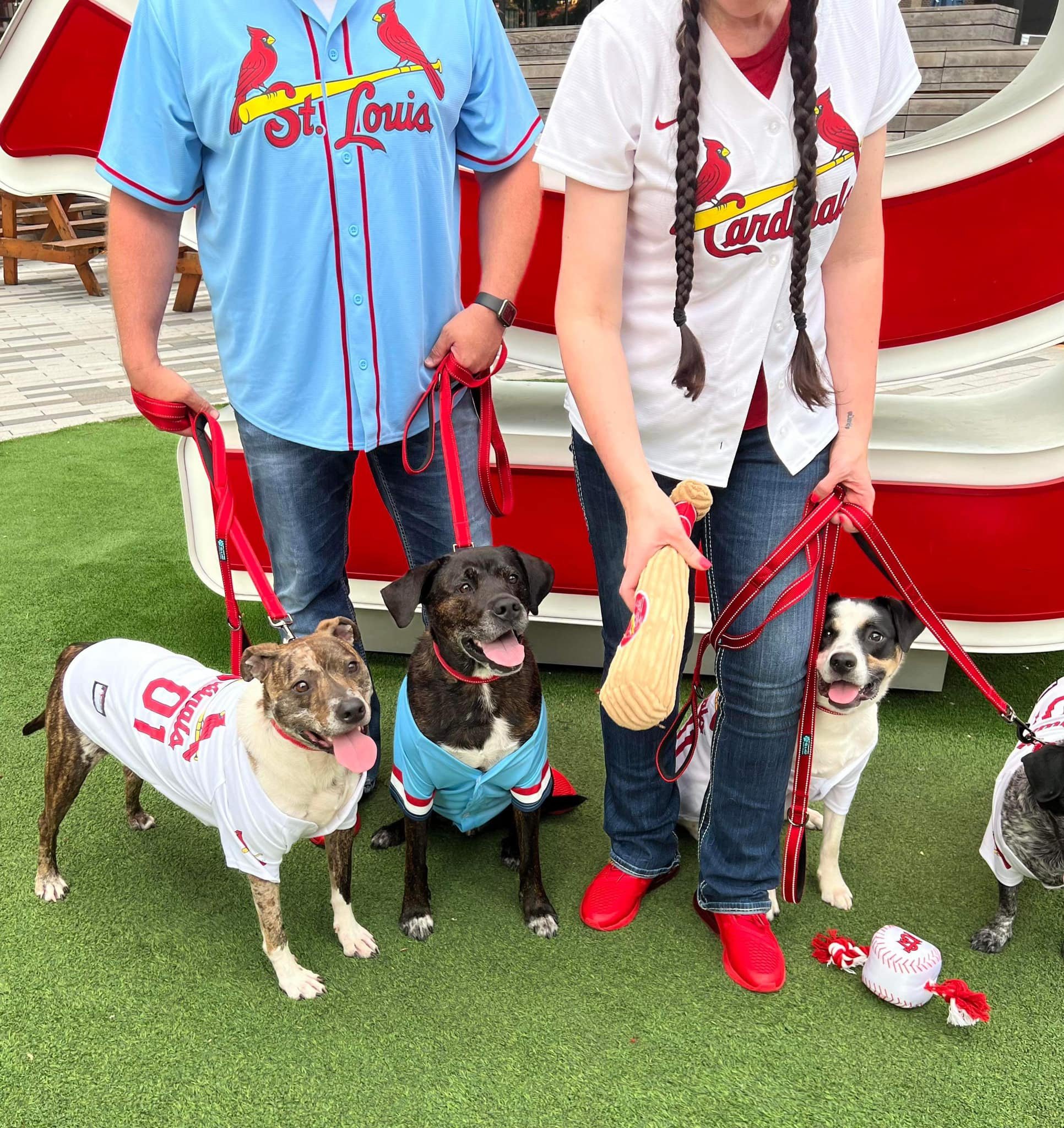 busch stadium session.jpeg