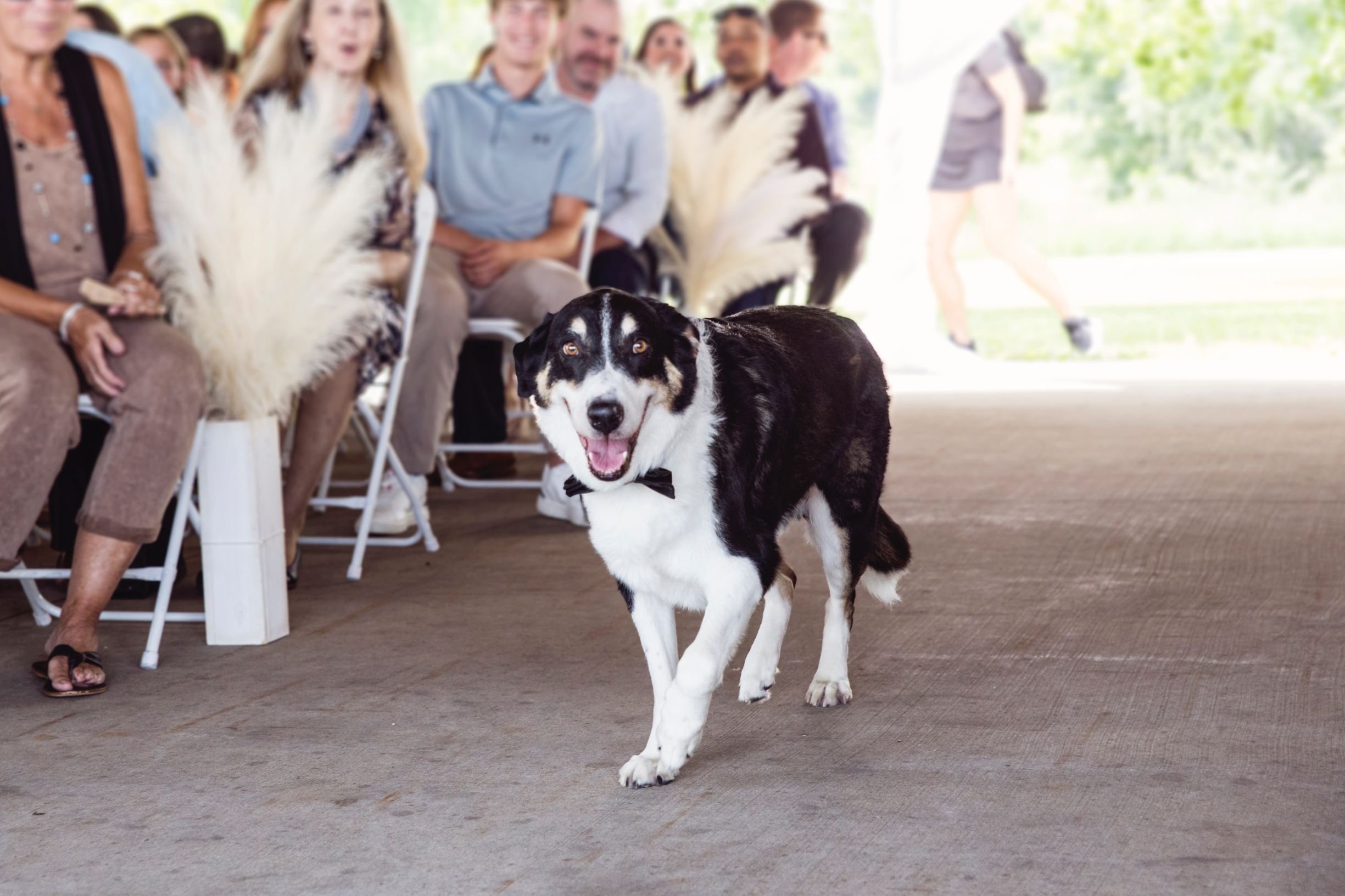 Linton wedding 2.jpg