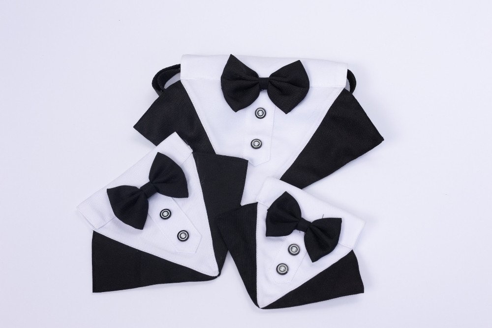 FT tuxedos.jpg