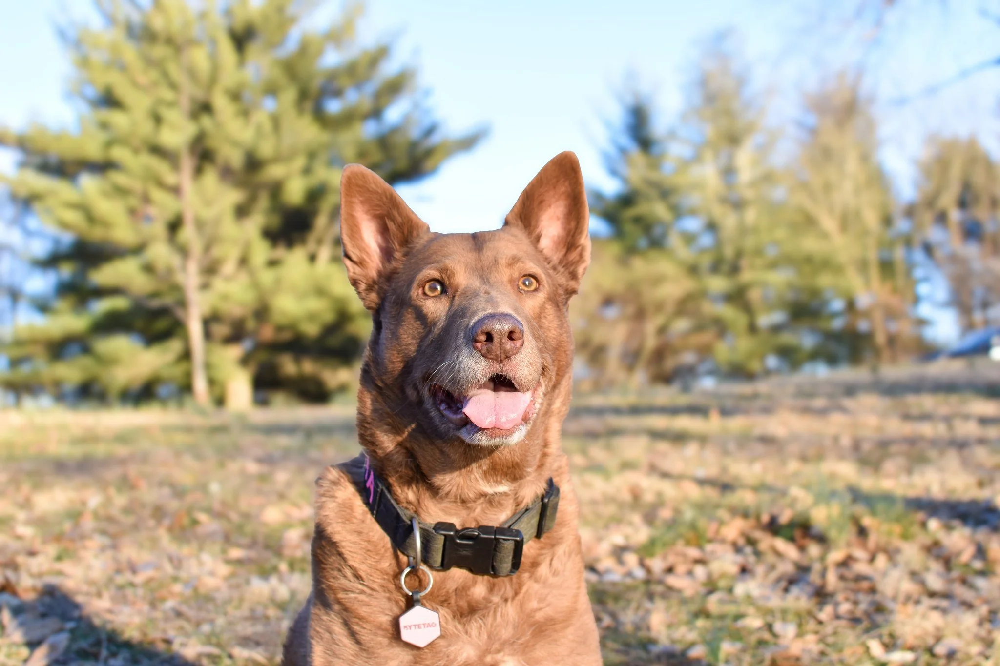 mira smiling FMN.jpg