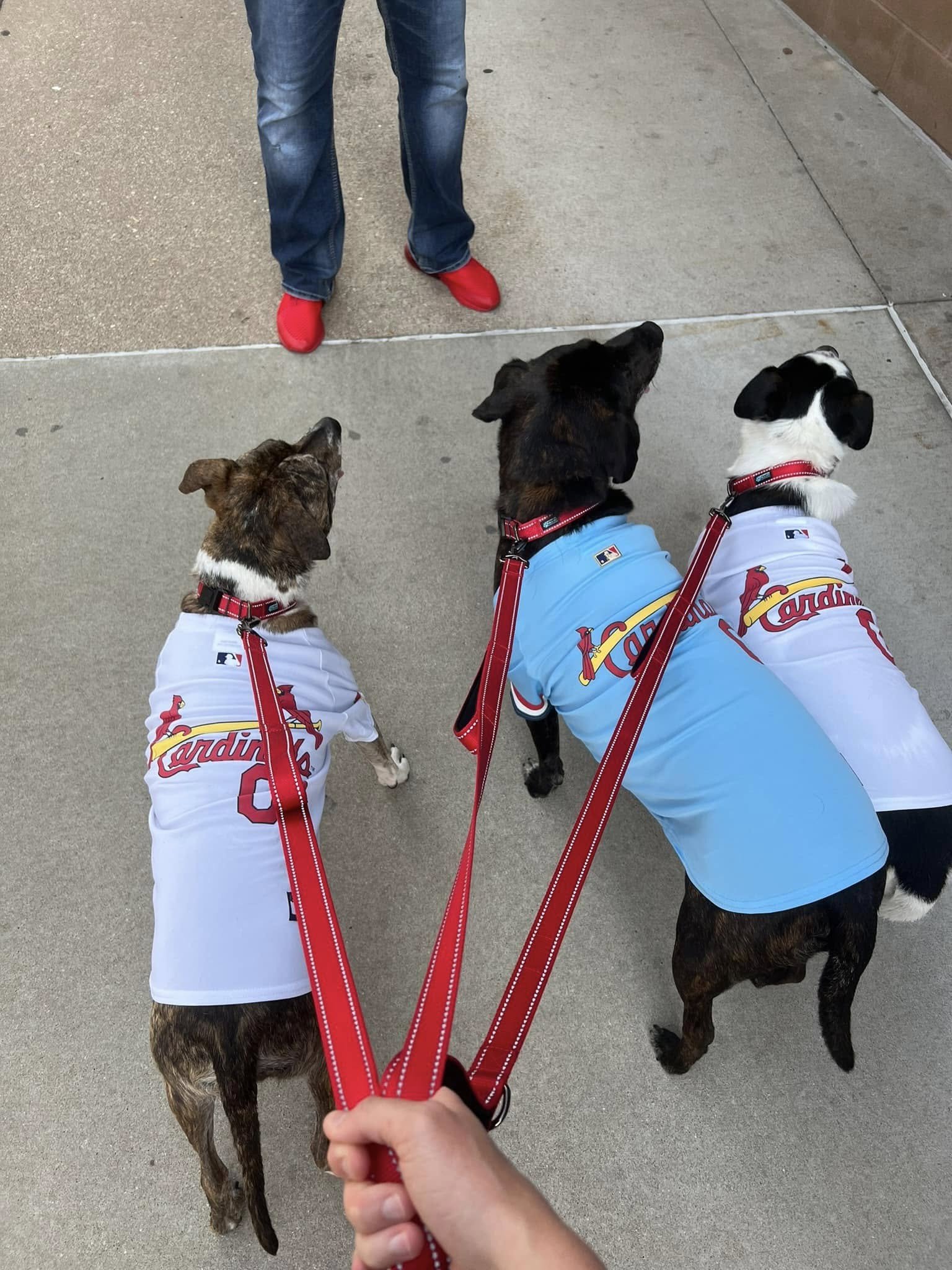 busch stadium session 3.jpeg