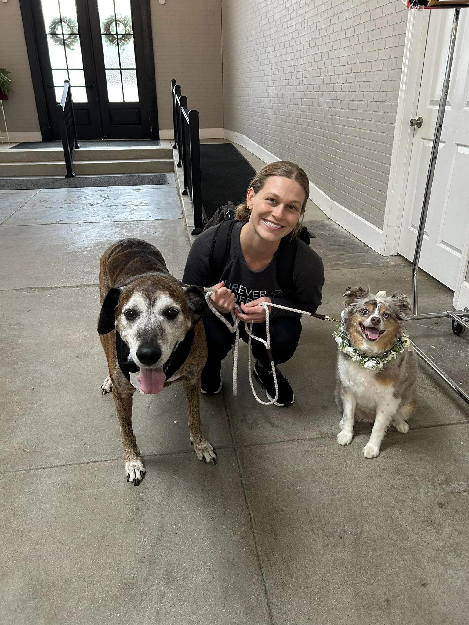 bailey with yote and mabel.jpg