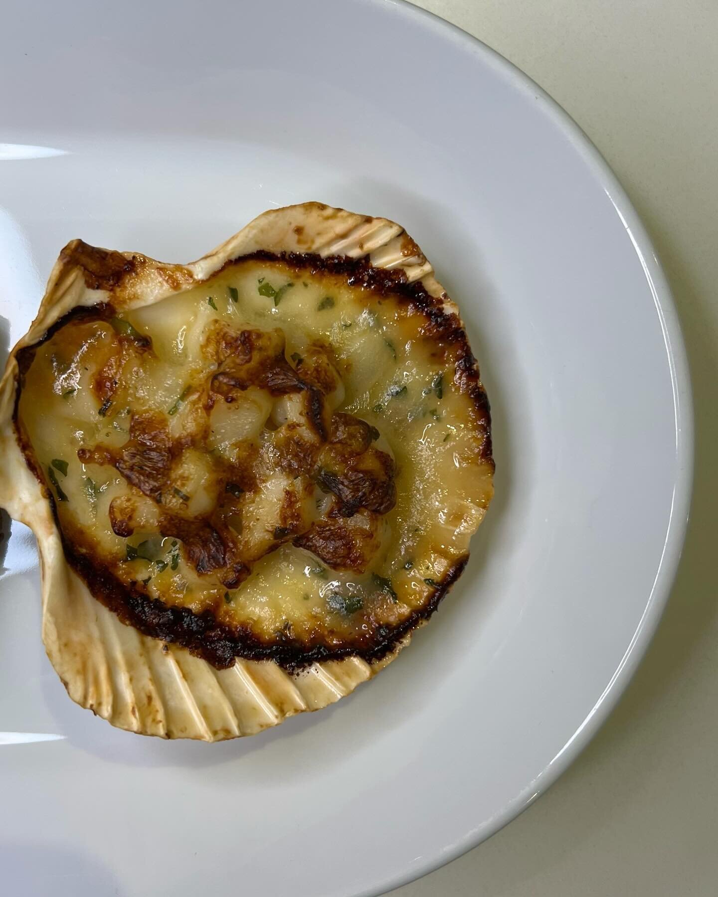 some nights (most nights) i just want appetizers for dinner. a bunch of different small things bc for some reason i think my house is the cheesecake factory. 

i&rsquo;ve been getting these lil scallop gratins (scallop saint jacques if you&rsquo;re n