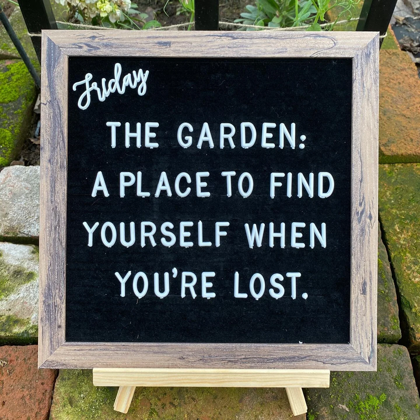 Happy Friday! 🪴

Do you ever feel overwhelmed, burnt out, or like you just don&rsquo;t know where to start (with gardening, or the laundry, or the dishes, or, or, or&hellip;)?

Gardening has a way of bringing clarity. Whenever I need to slow my brai
