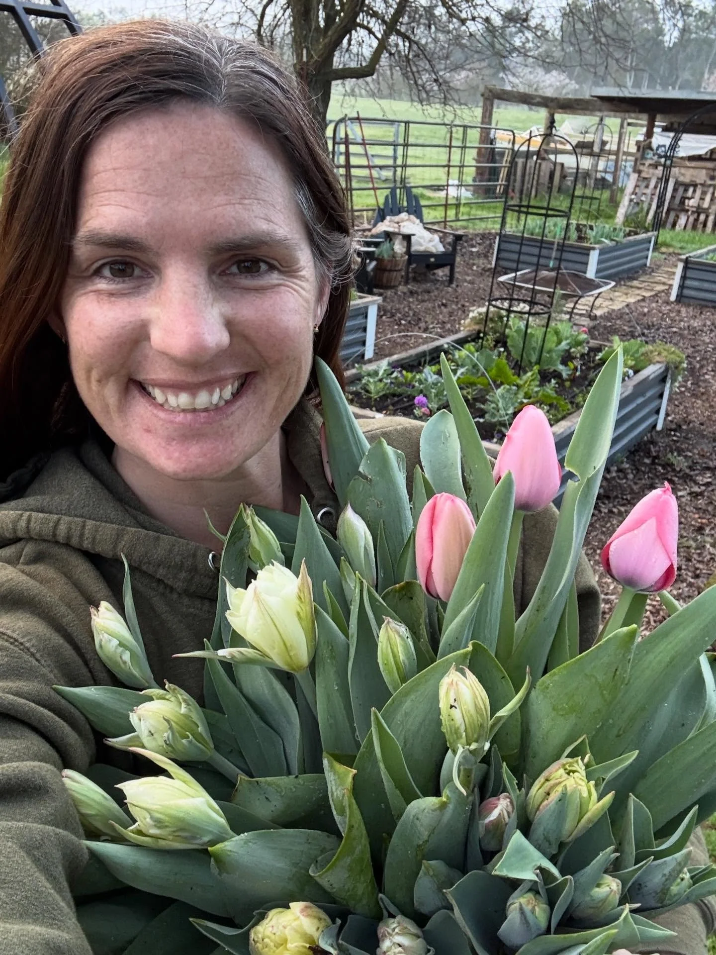 The tulips got the message about our Valentine&rsquo;s Day special!! 💐