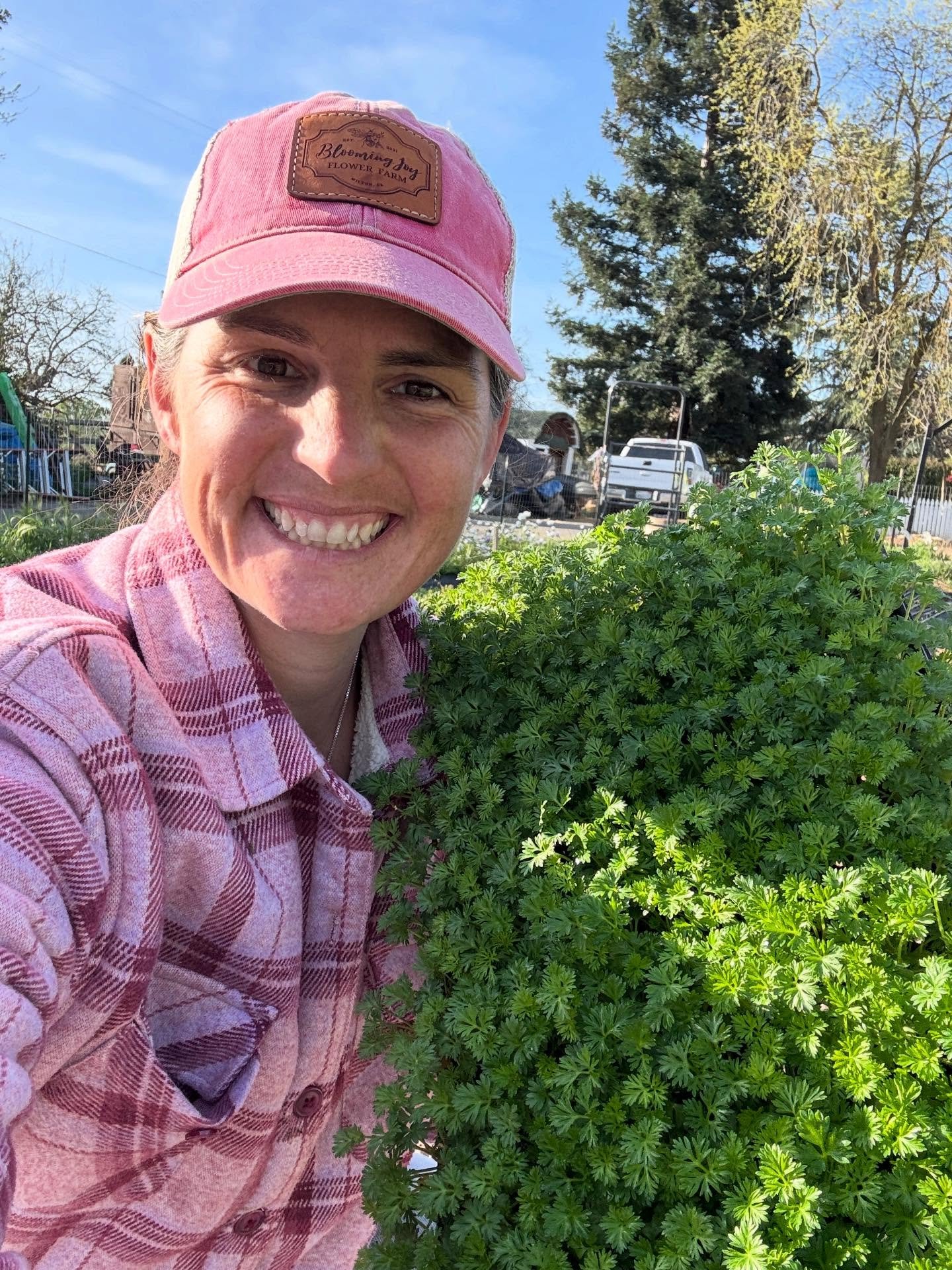 Gearing up for a flower-filled spring and summer this year with more flowers going in today (swipe to see what they&rsquo;ll turn into)! 💐

🌻Want to know when our flowers will be available? 

Use the link in my bio to become a Blooming Joy Insider 