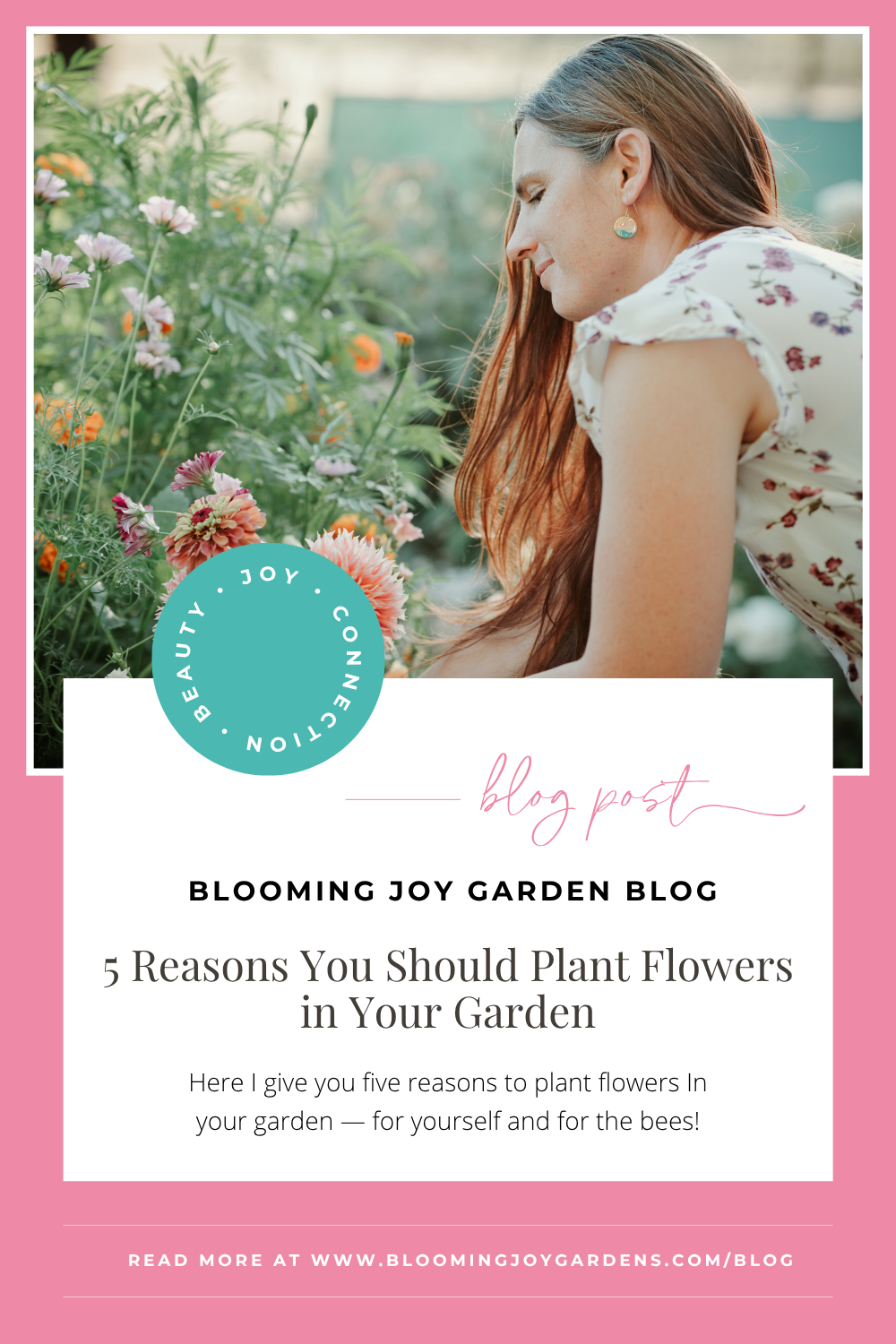 5 Reasons You Should Plant Flowers in Your Garden