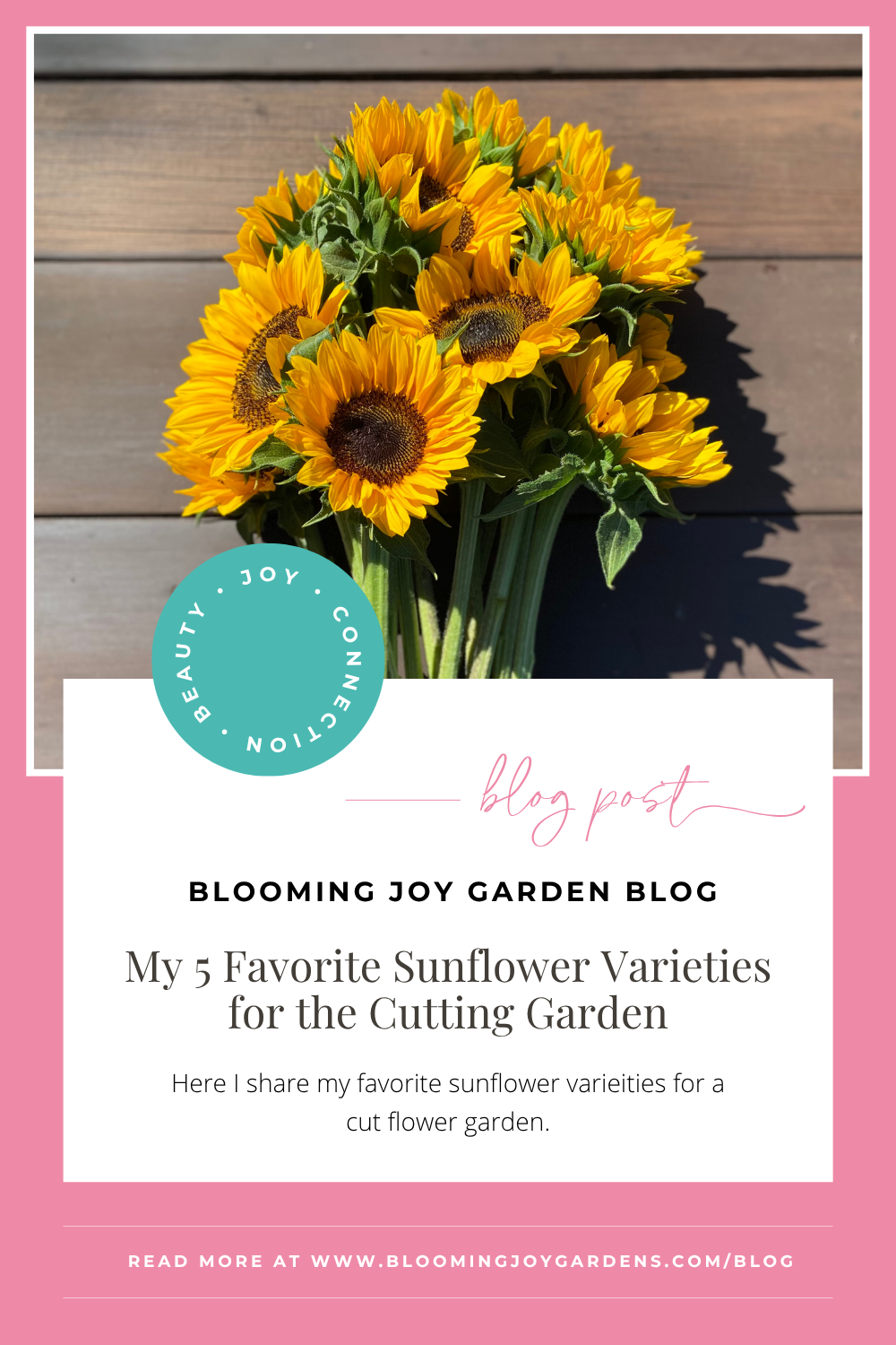 My 5 Favorite Sunflower Varieties for the Cutting Garden