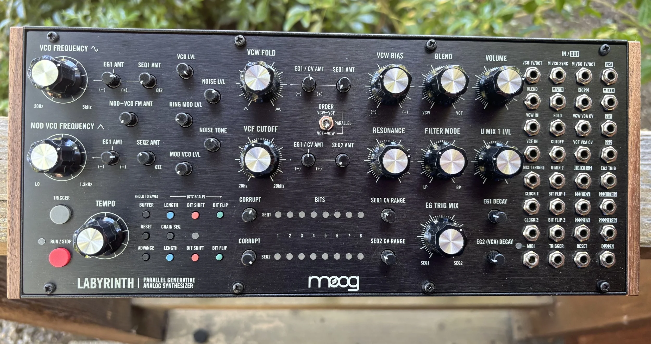 moog 1.jpg