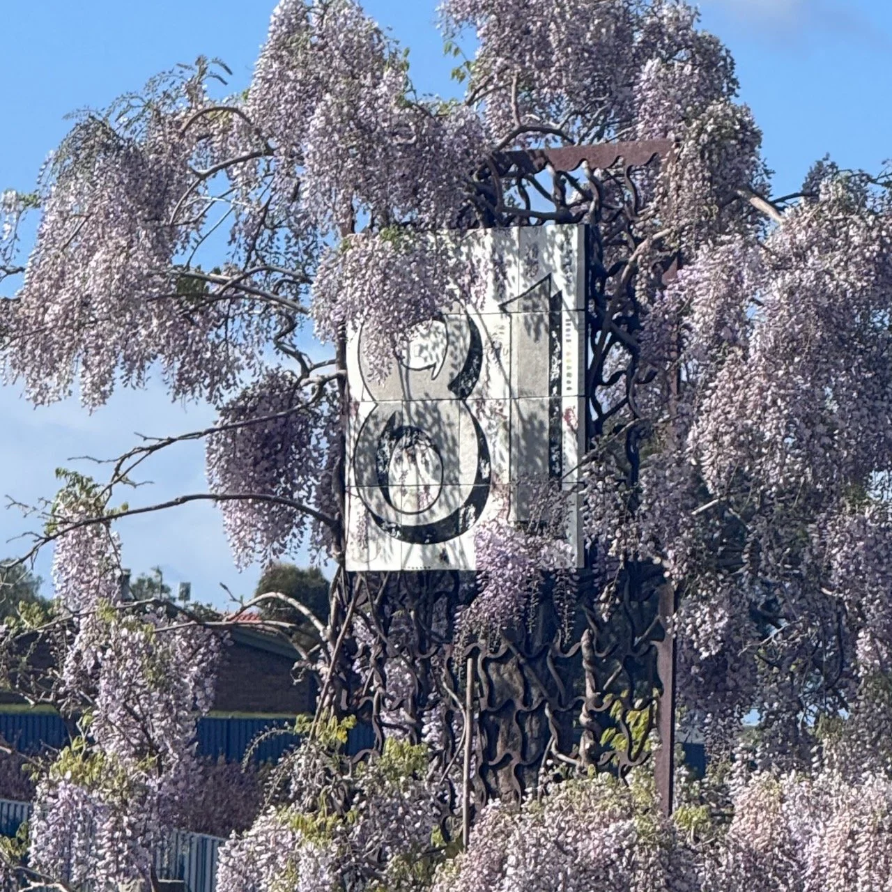 Wisteria mural - 1 of 1 (5).jpeg