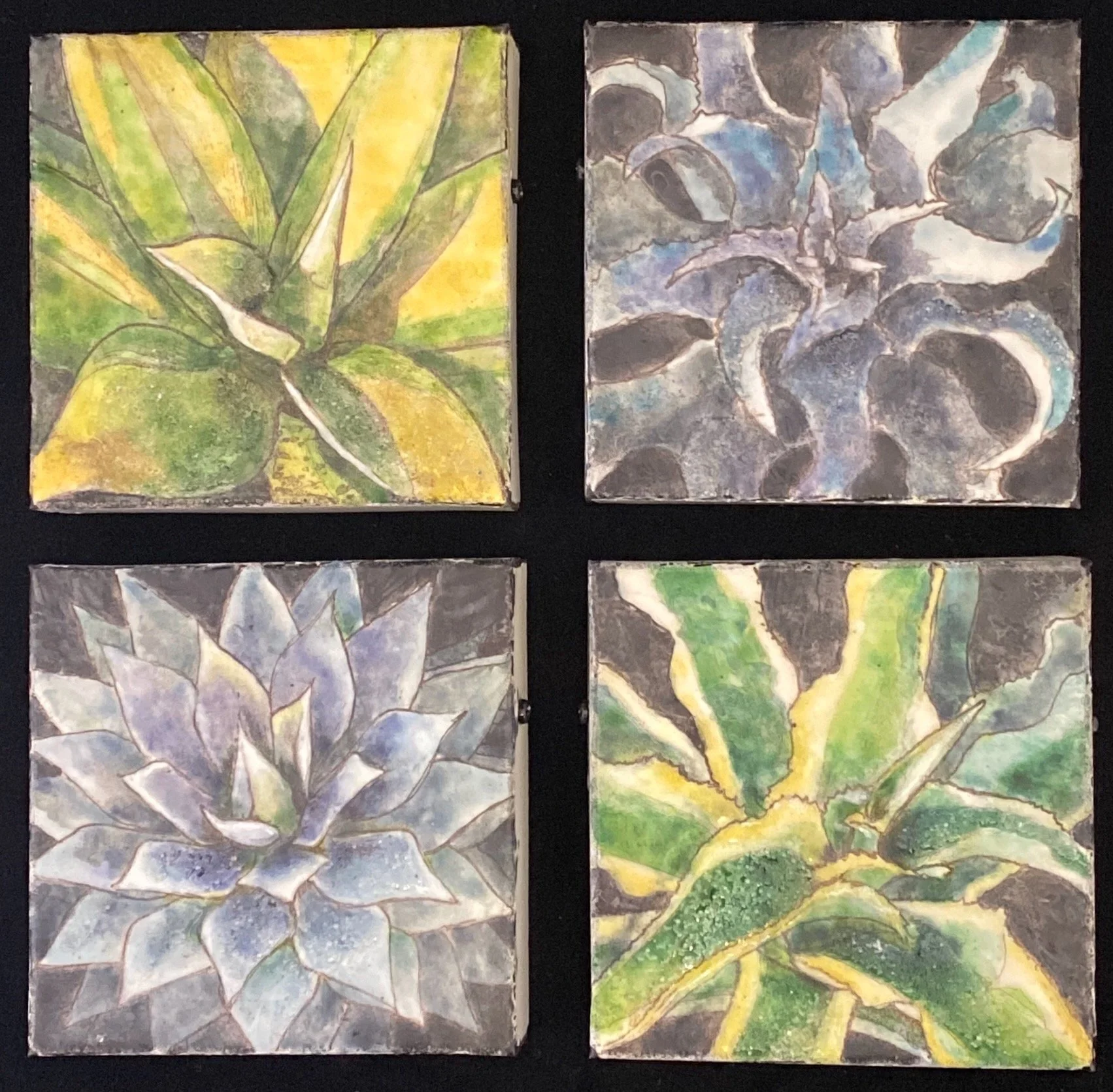 Four agave and mangave cultivars in a grid, with glinting reflective glass beads catching winter light