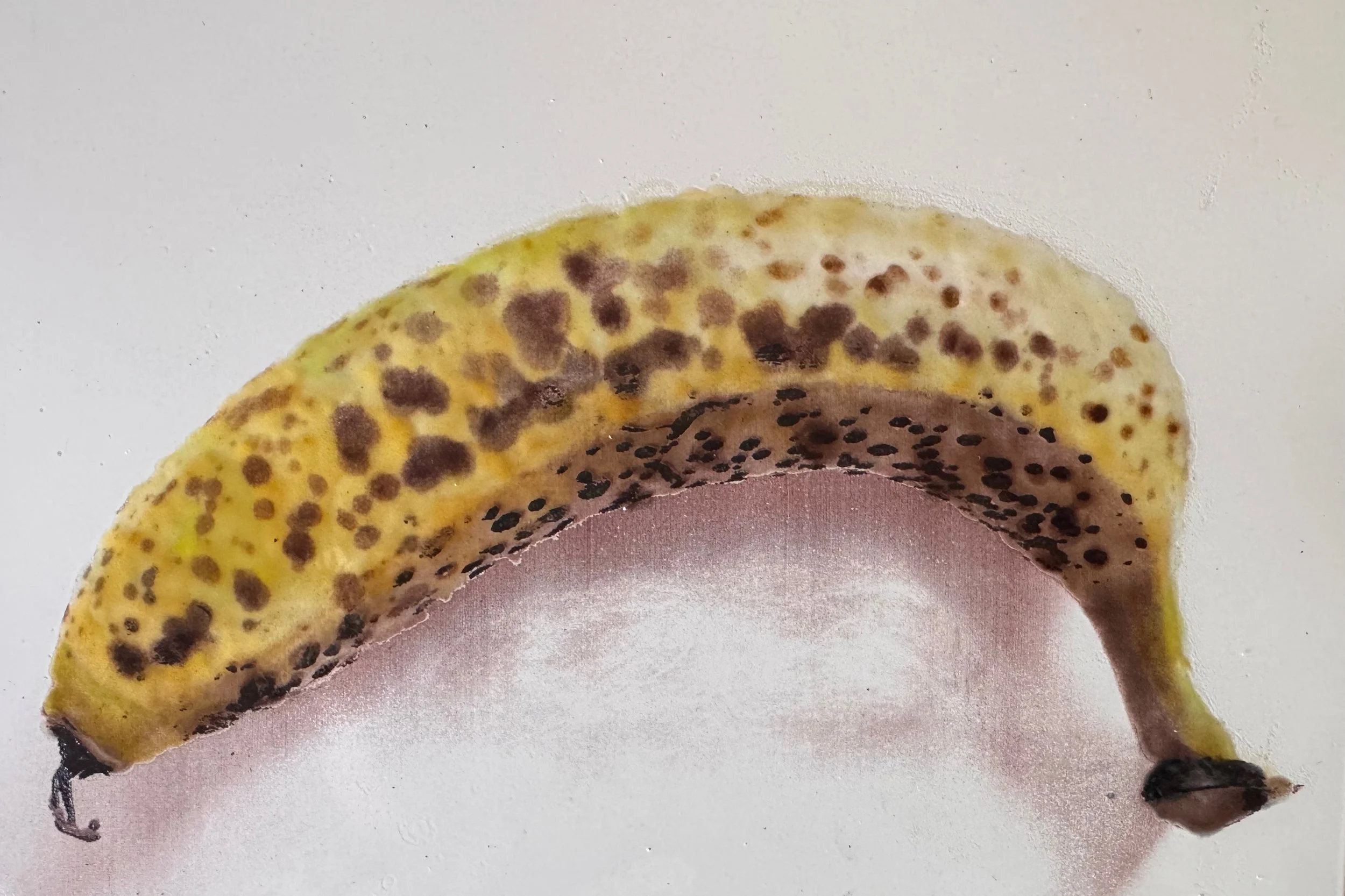 Decal portrait on enamel exploring fading life of a banana with brown spots, in warm aged tones on steel