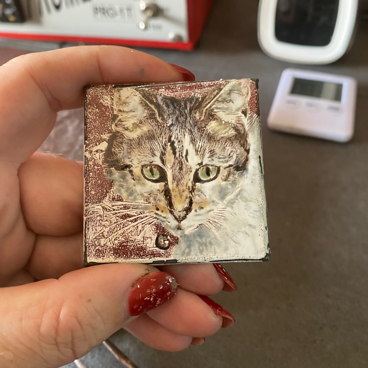 Final enamel pet portrait of a cat in enamel, with photographic like realism