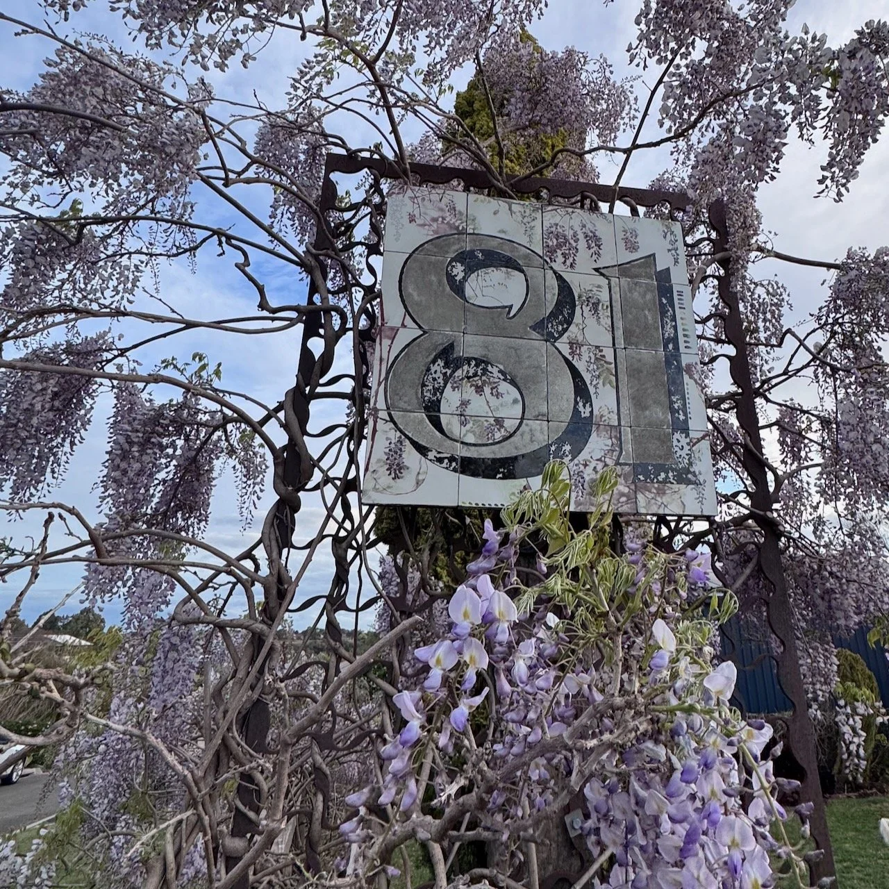 Wisteria mural - 1 of 1 (3).jpeg
